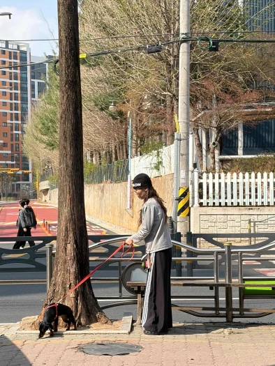 스타일 카드