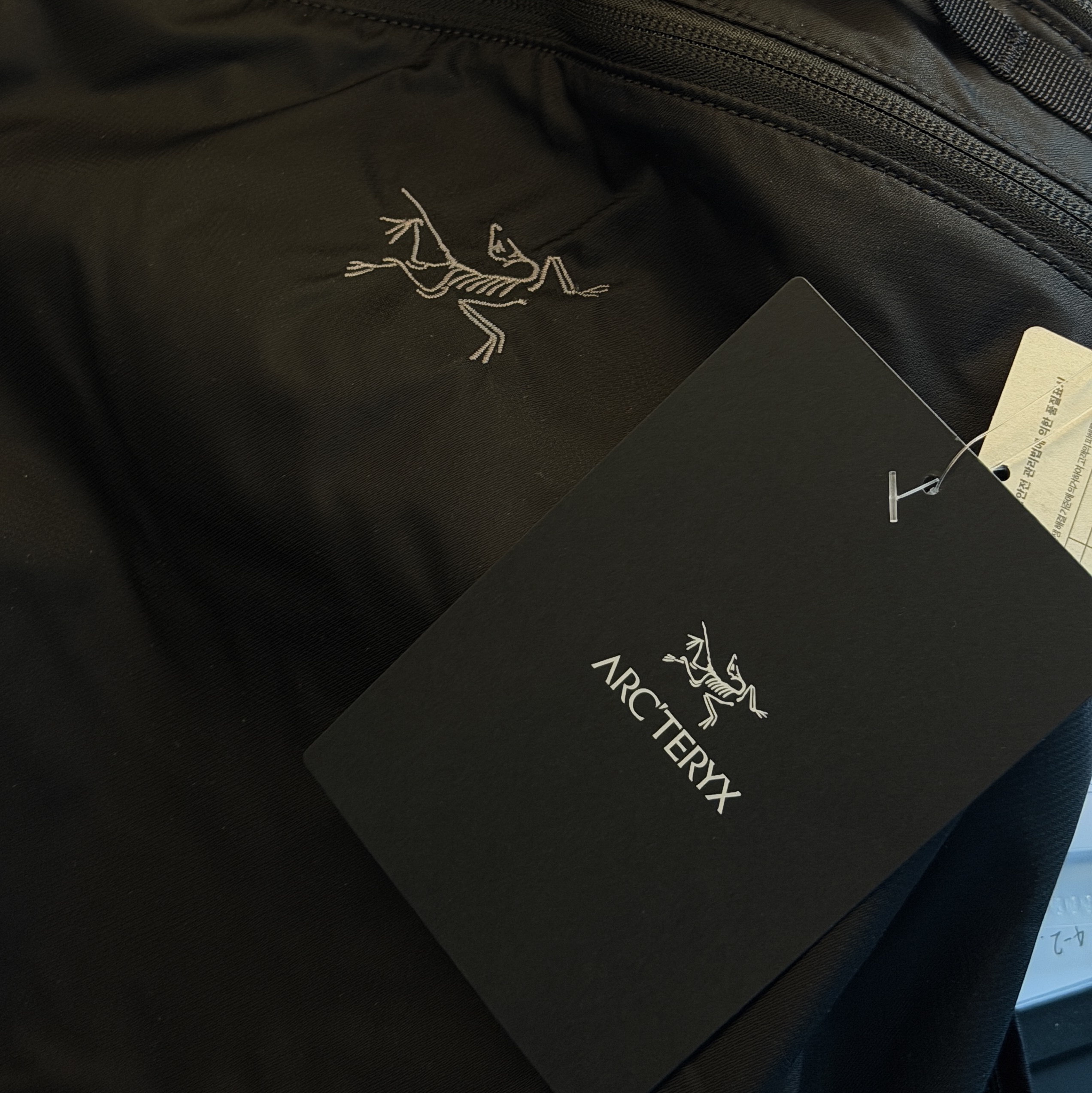Arc'teryx Heliad 15 Backpack Black 착용 스타일
