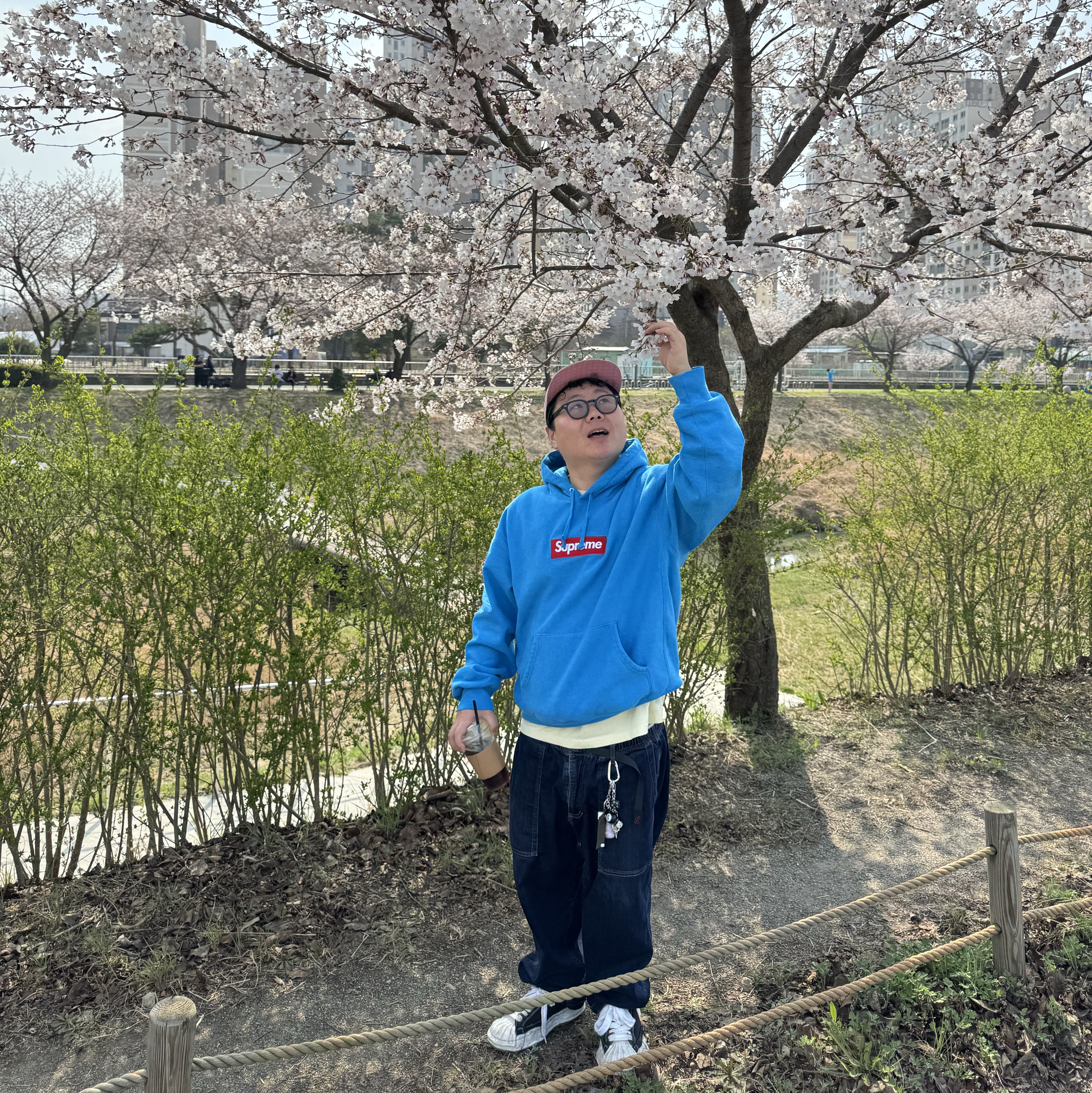 Supreme Box Logo Hooded Sweatshirt Cyan - 25FW, Maison Mihara Yasuhiro Blakey OG Sole Canvas Low-top Sneakers Black White 착용 스타일