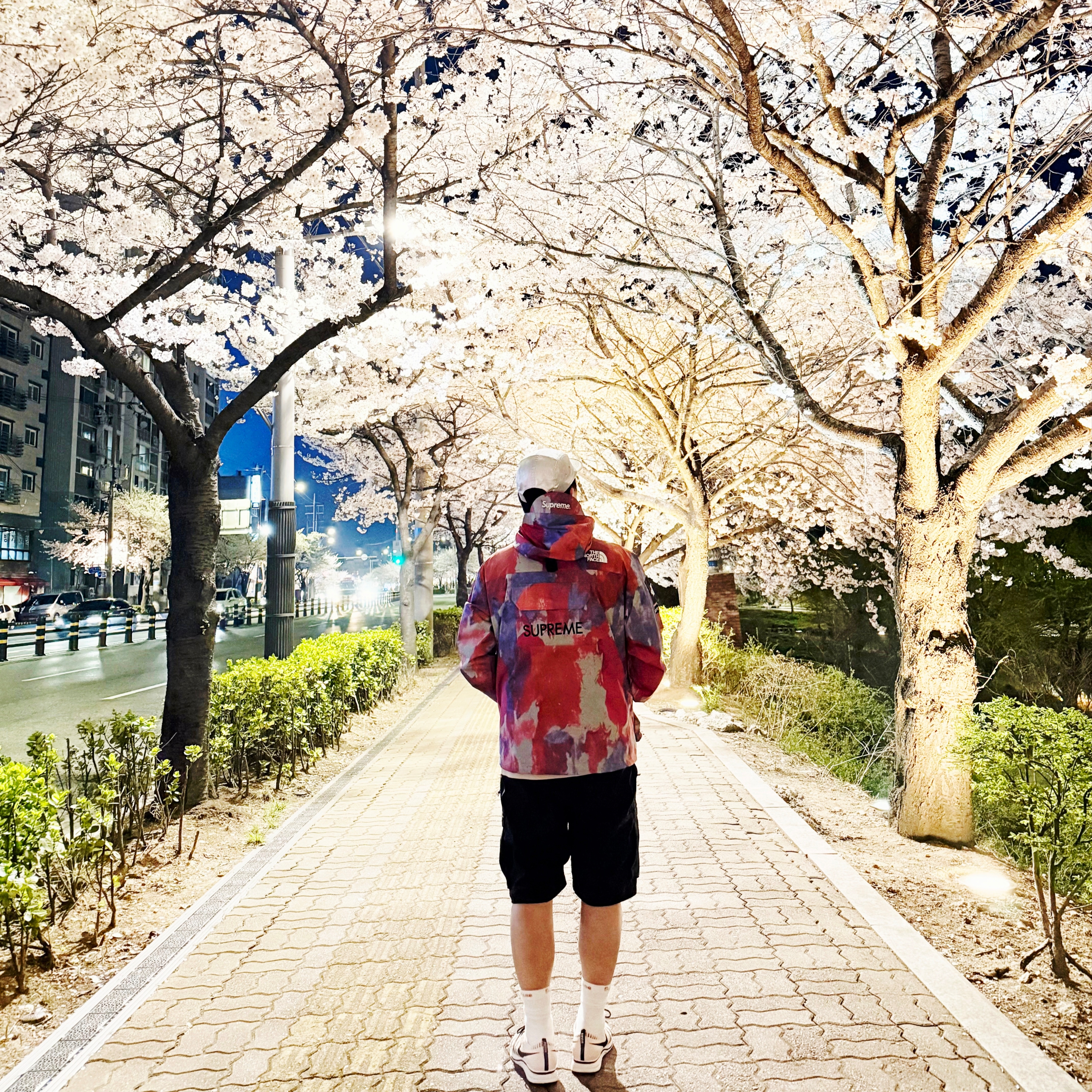 Supreme x The North Face Cargo Jacket Multi-Color - 20SS, Nike Flyknit Trainer Sunset Tint 착용 스타일