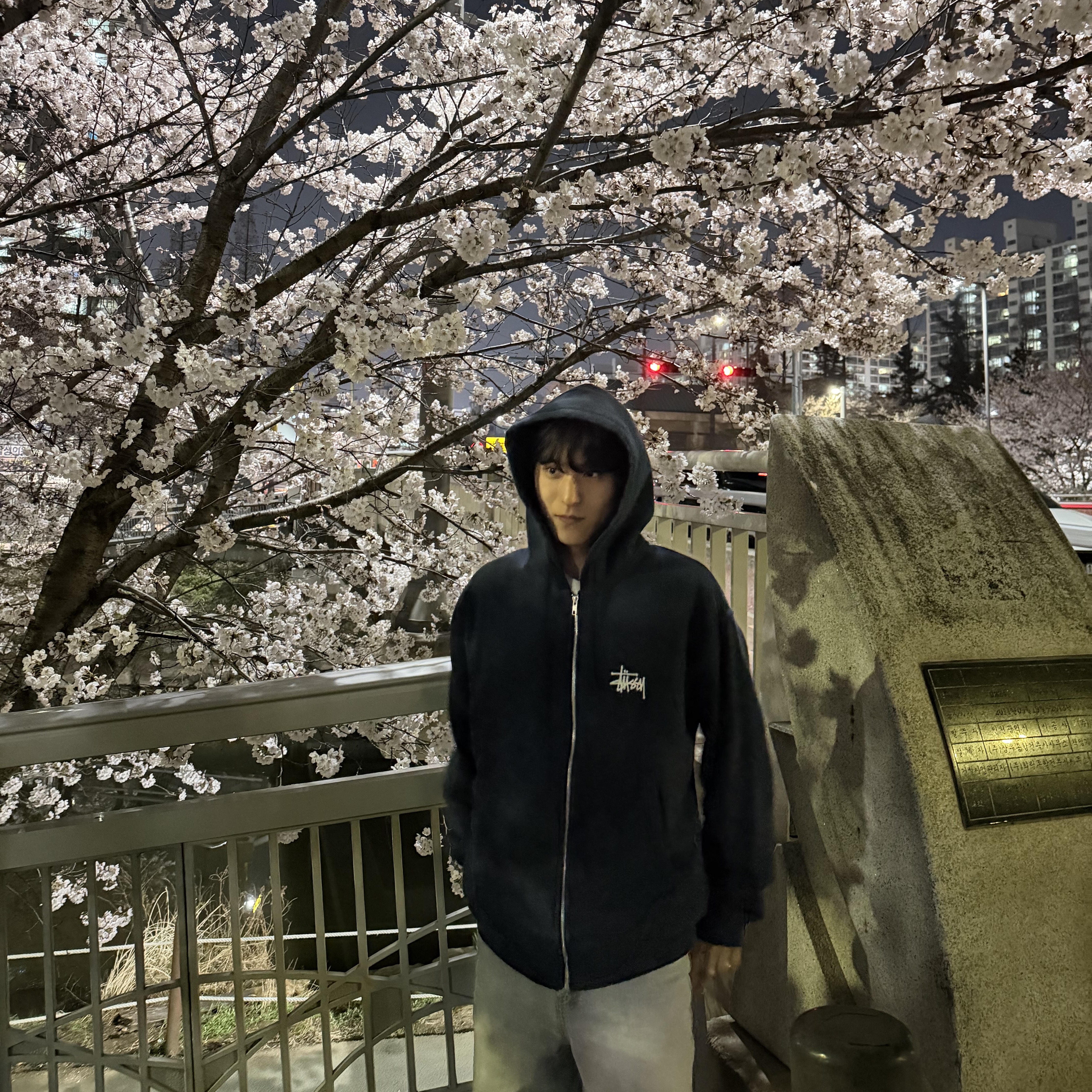 Stussy Basic Stussy Zip Hoodie Navy 2024, 2025 착용 스타일 - 2