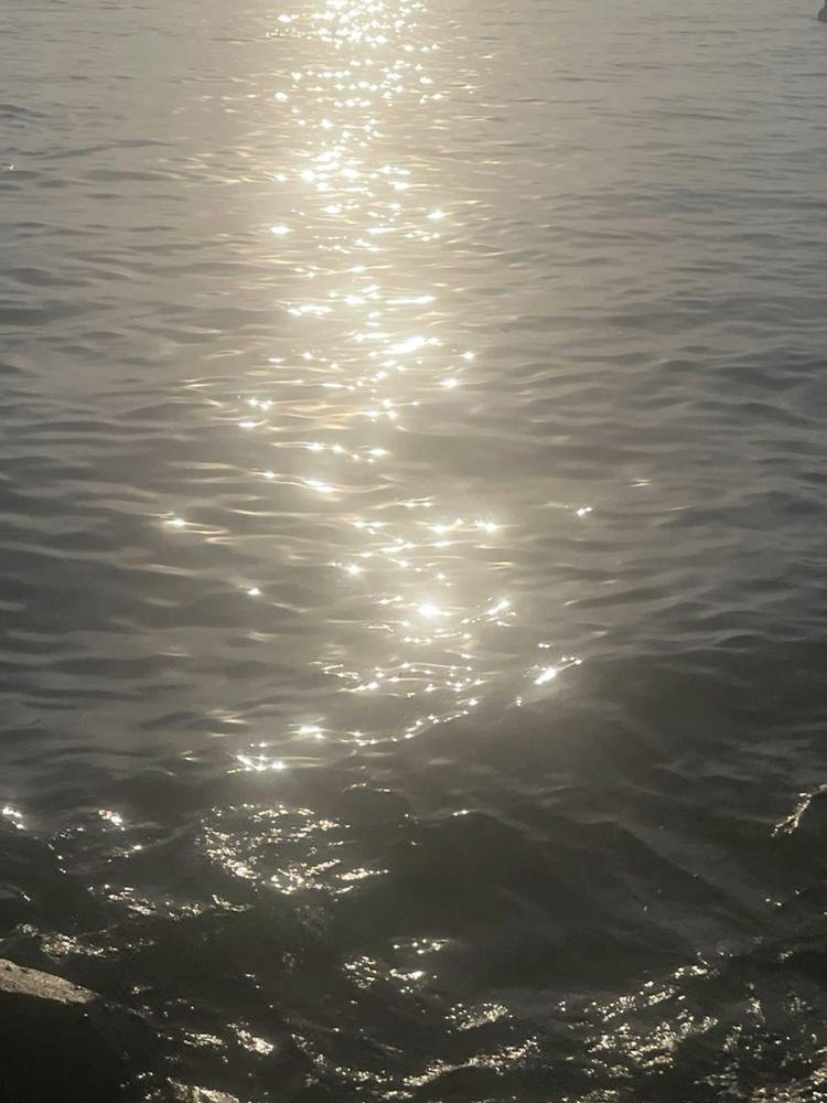 관심 유저 프로필 이미지