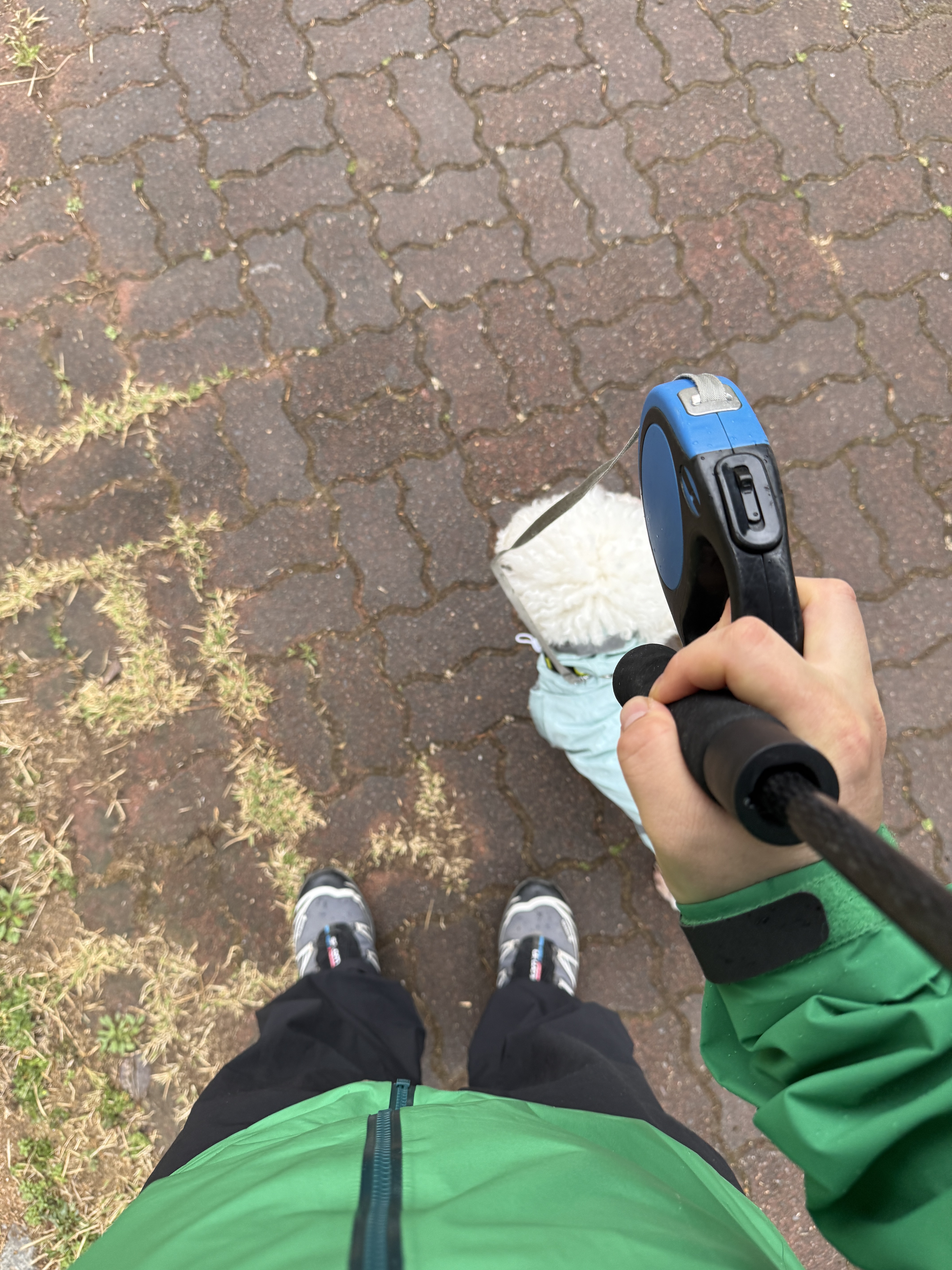 너구리님의 스타일