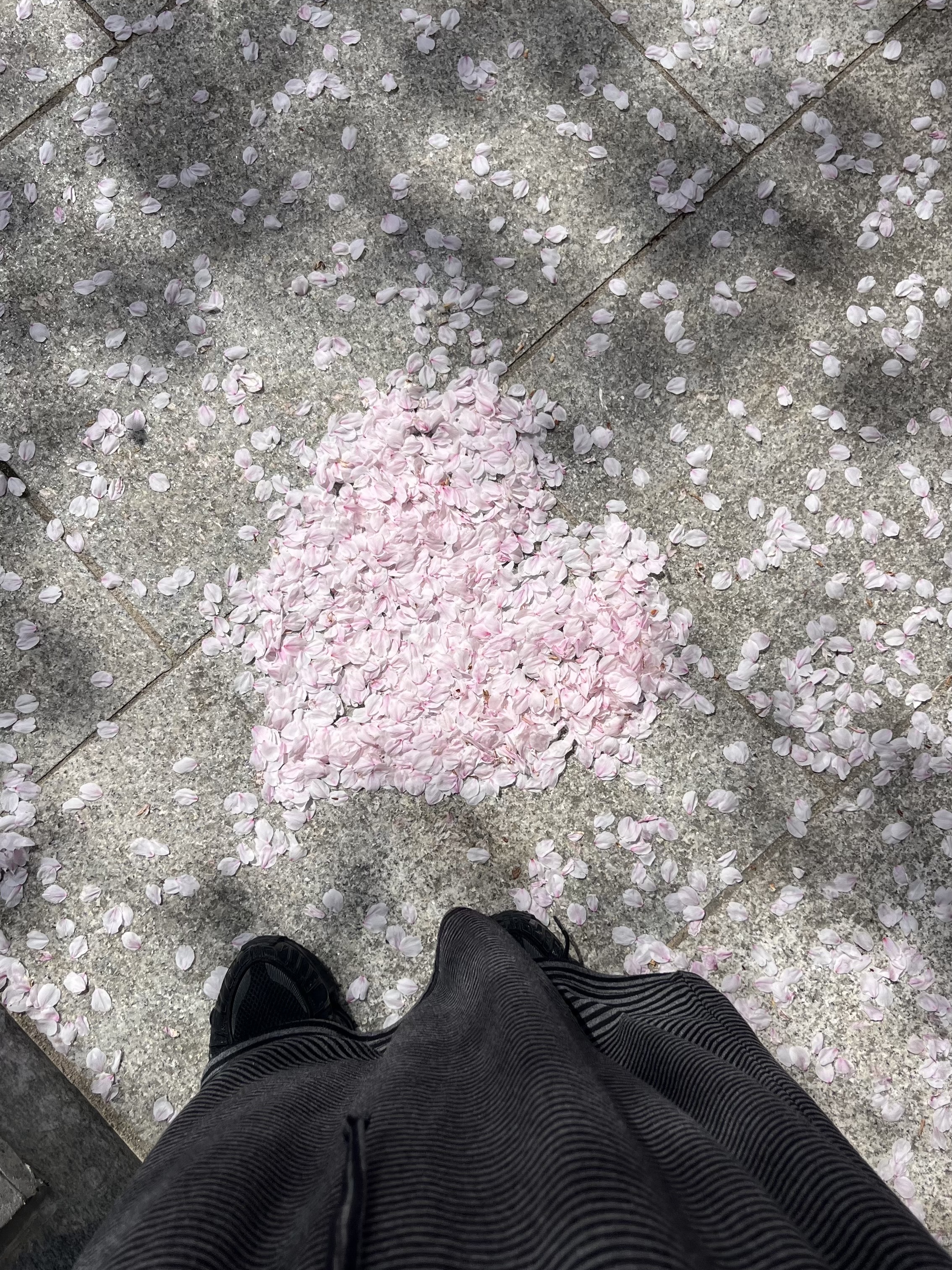 Nike x Martine Rose Shox MR4 Black, Kamien x MJD Double Hole Belt Black Shearling Calfskin 착용 스타일 - 7