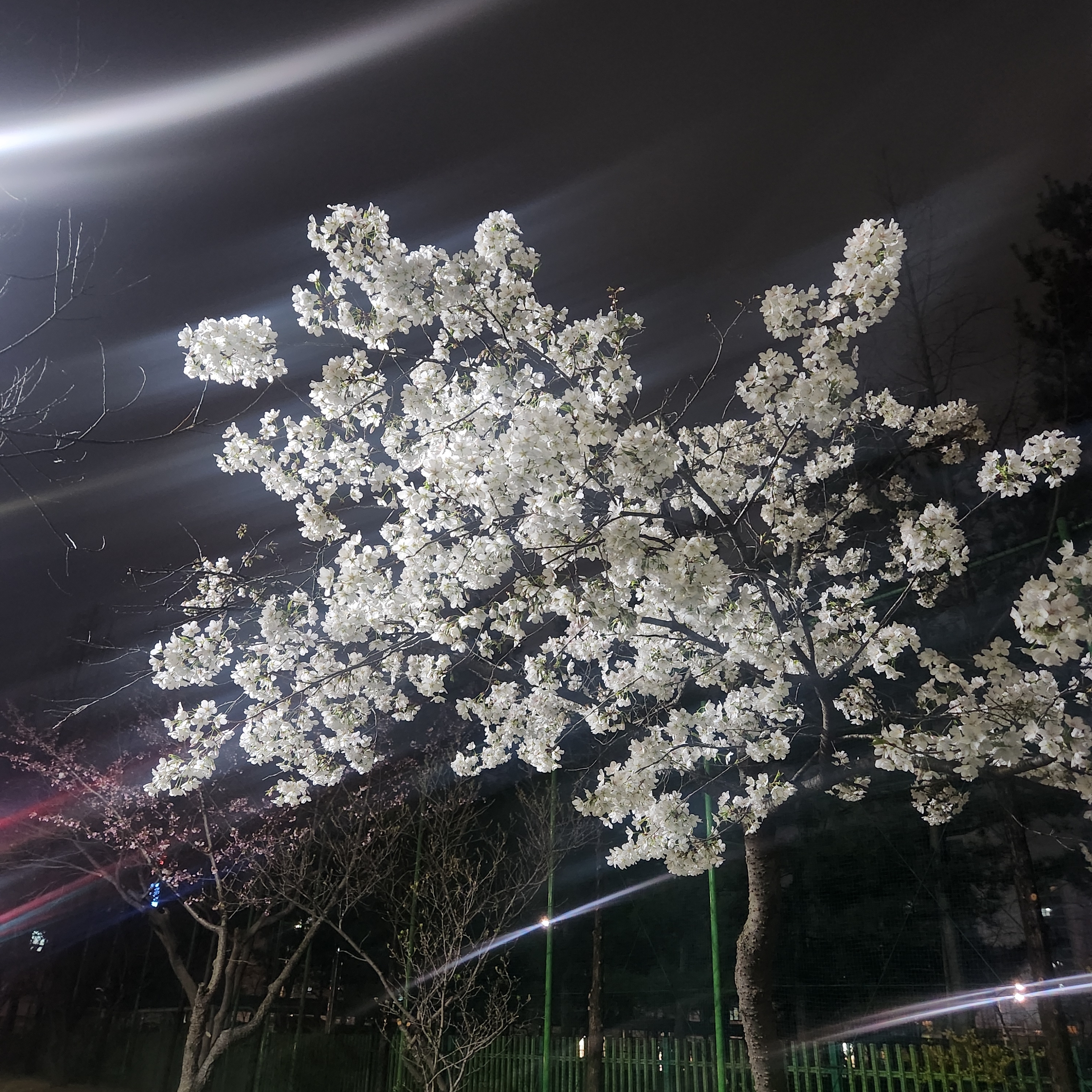 JustDoIt님의 스타일 - 1