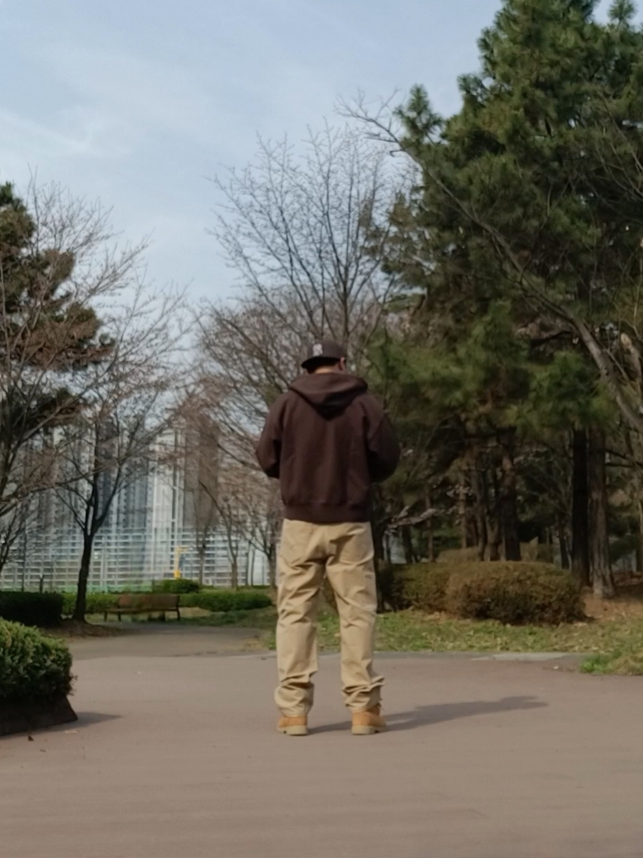 Levi's 568 Loose Straight Carpenter Pants Brown, Nike x Stussy Stone Washed Fleece Zip Hoodie Dark Cinder (FJ9175-261) 착용 스타일