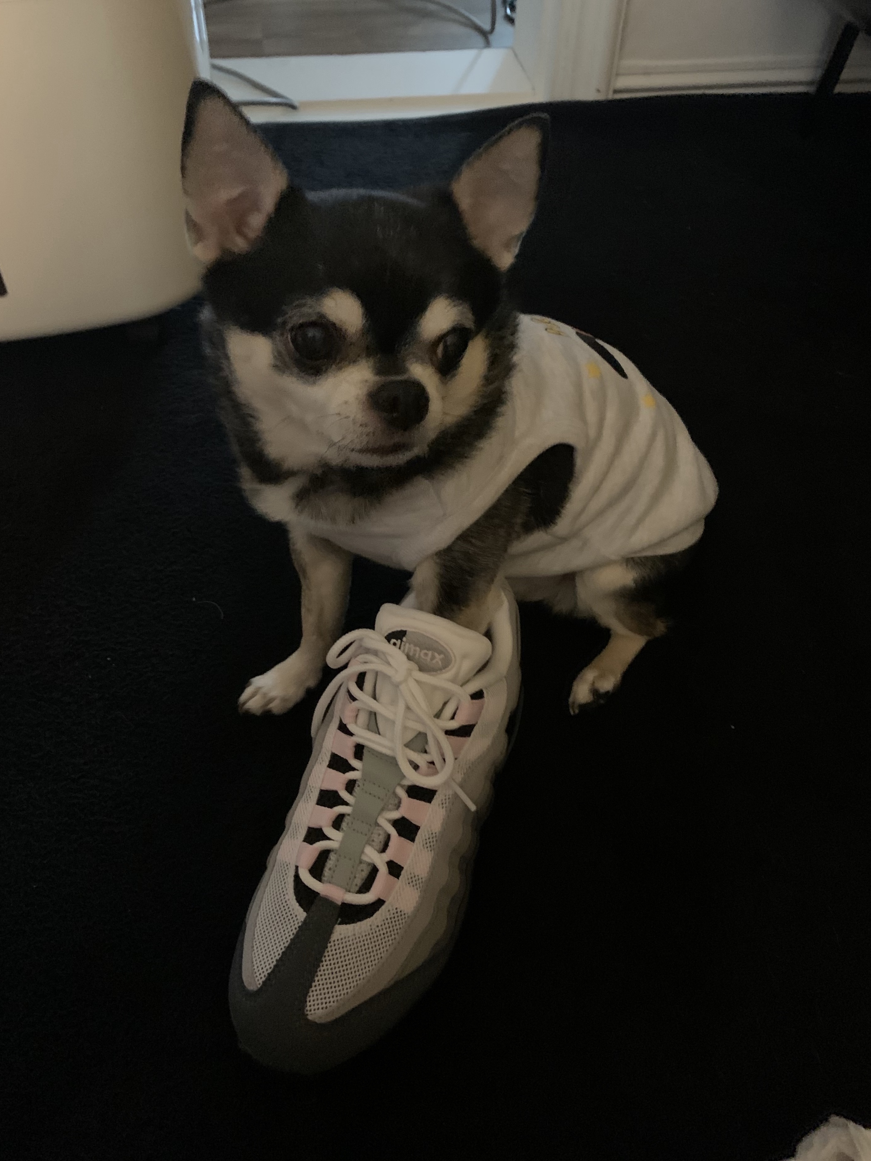 (W) Nike Air Max 95 Pink Foam 착용 스타일
