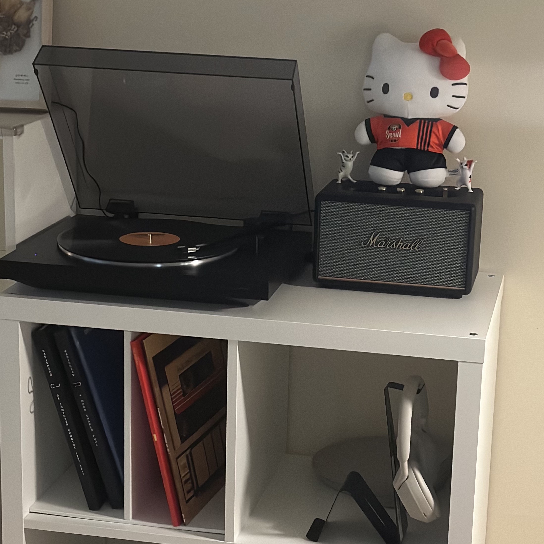 Sony PS-LX310BT Black (Sony Korea Ver.), Marshall Acton III Bluetooth Black (Korean Ver.) 착용 스타일