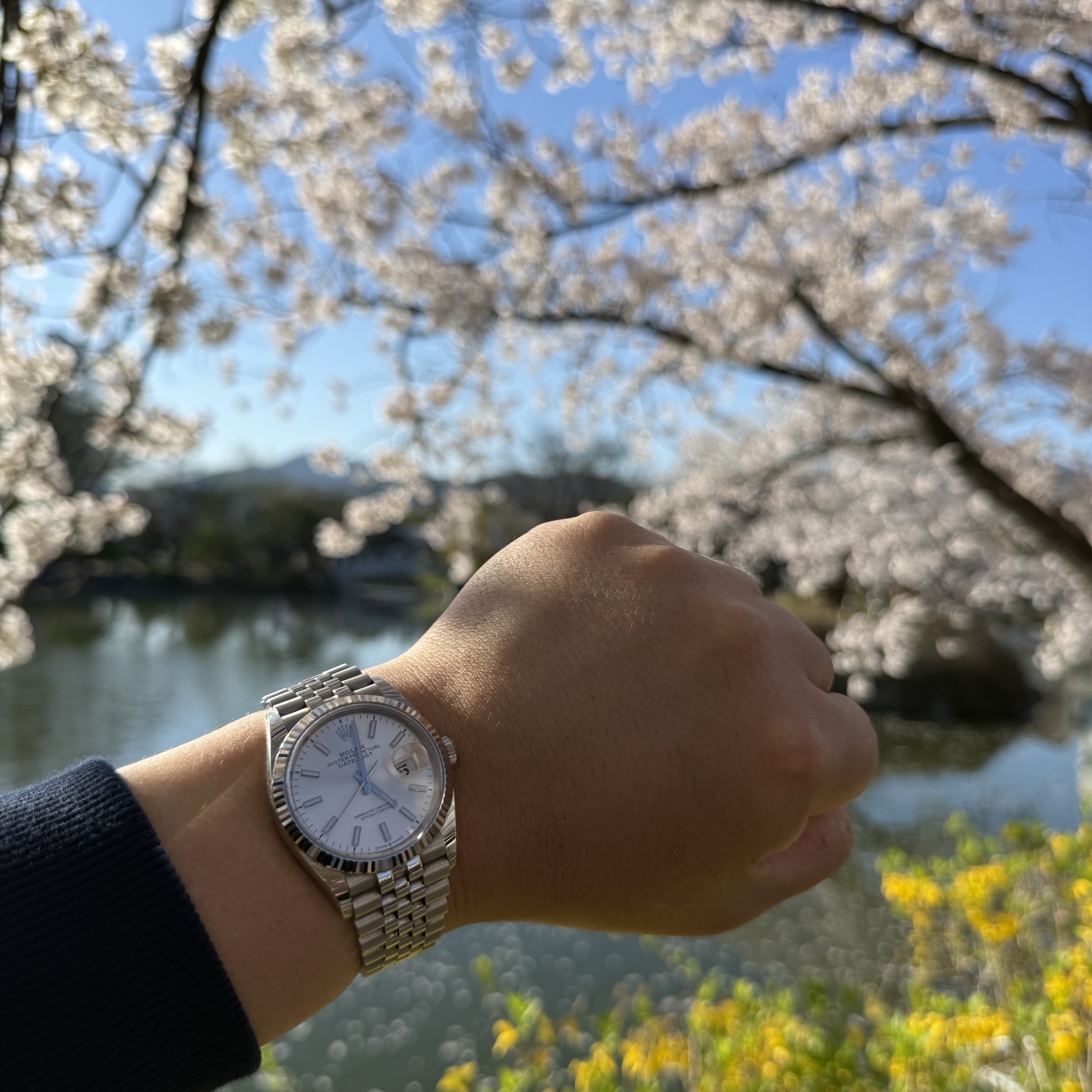 Rolex Datejust 36mm 126234 Silver Oyster 착용 스타일 - 2