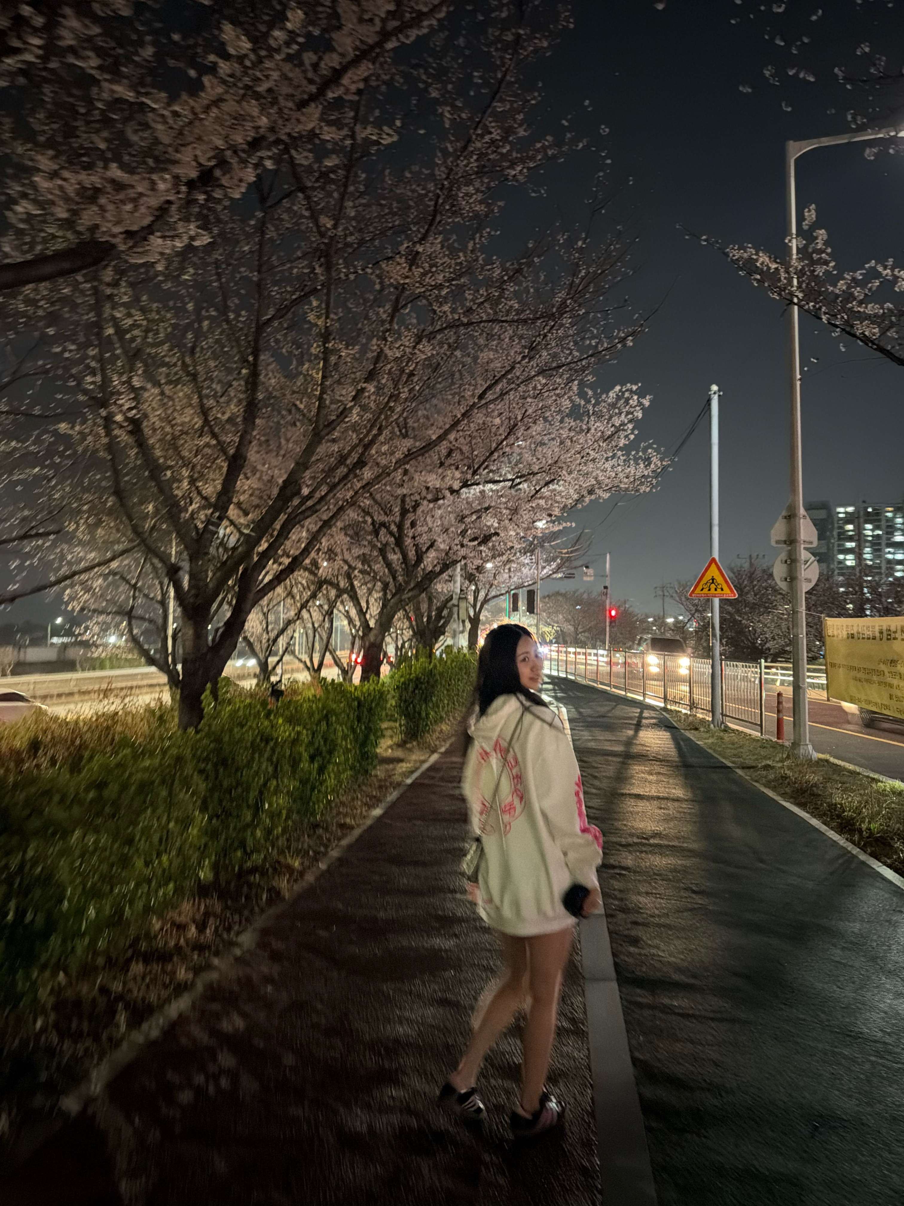 Chrome Hearts Horseshoe Logo Hoodie White Pink 착용 스타일 - 1