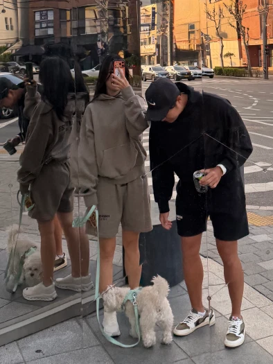 스타일 카드