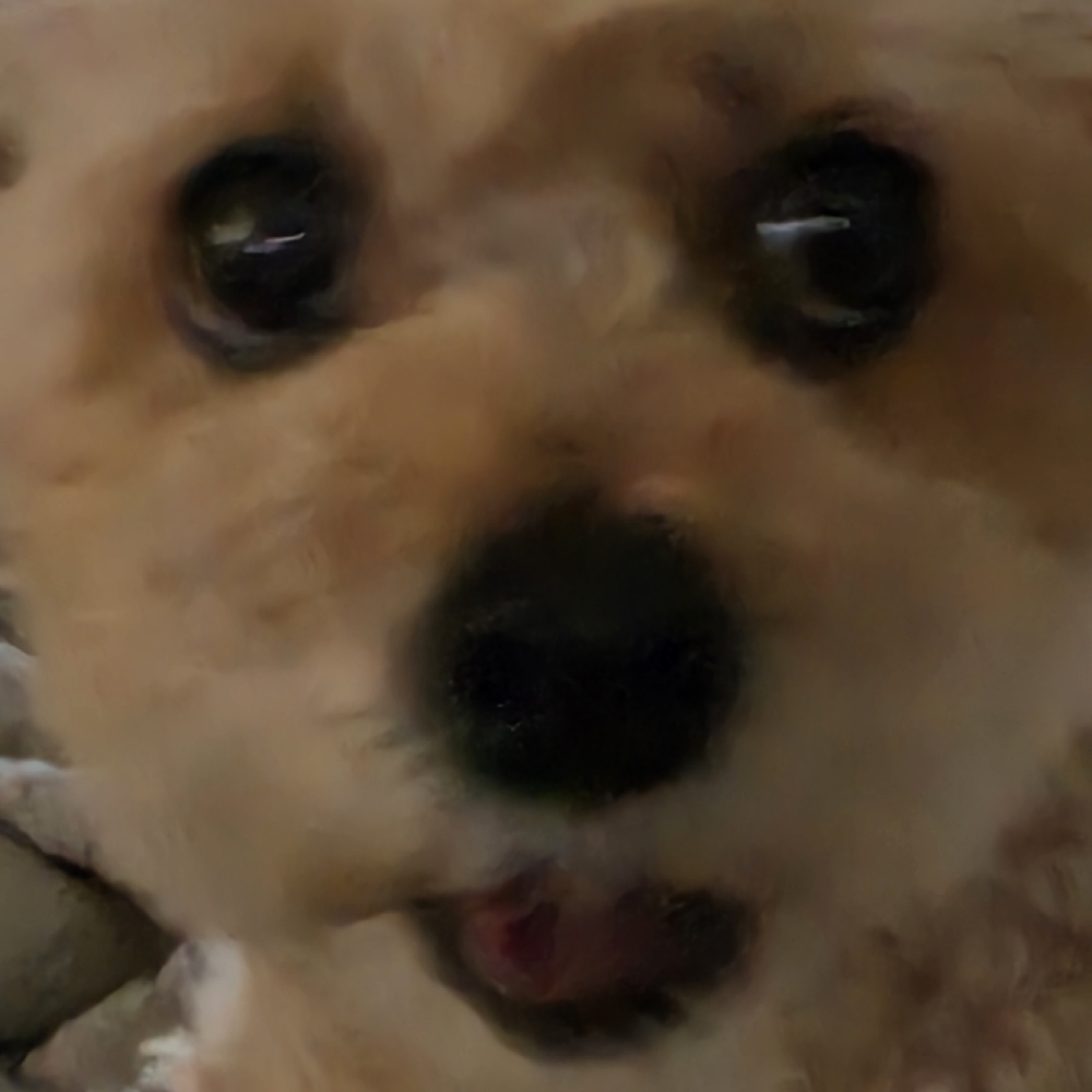 관심 유저 프로필 이미지