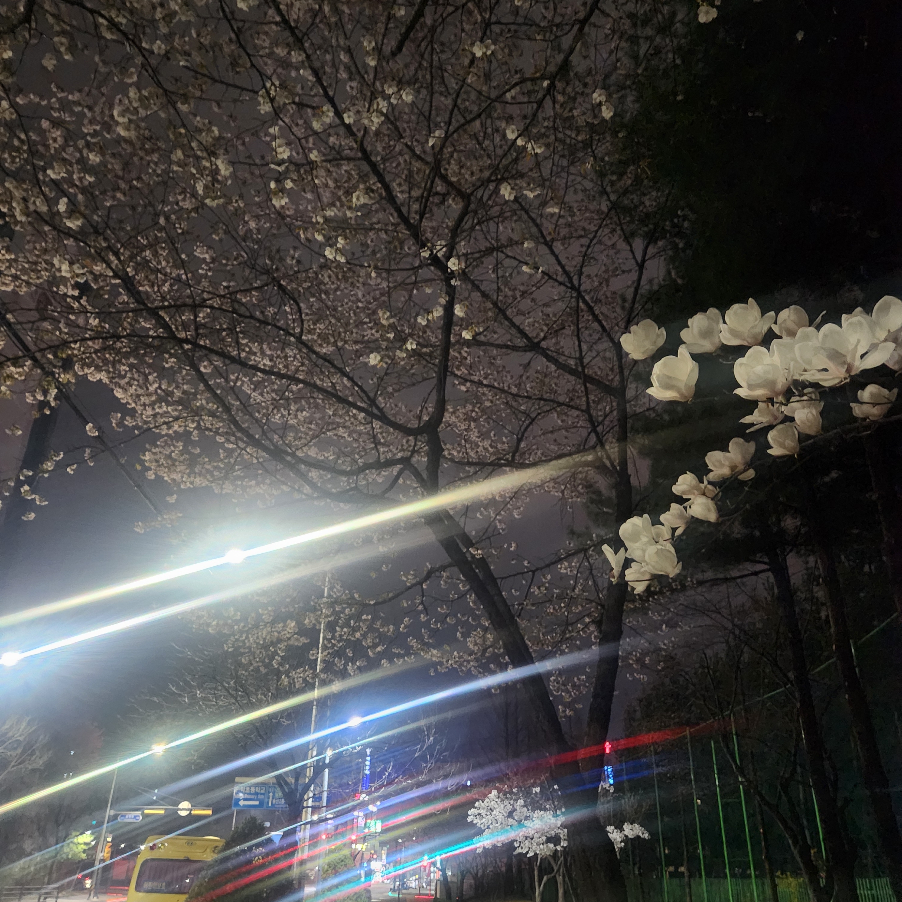 JustDoIt님의 스타일 - 2