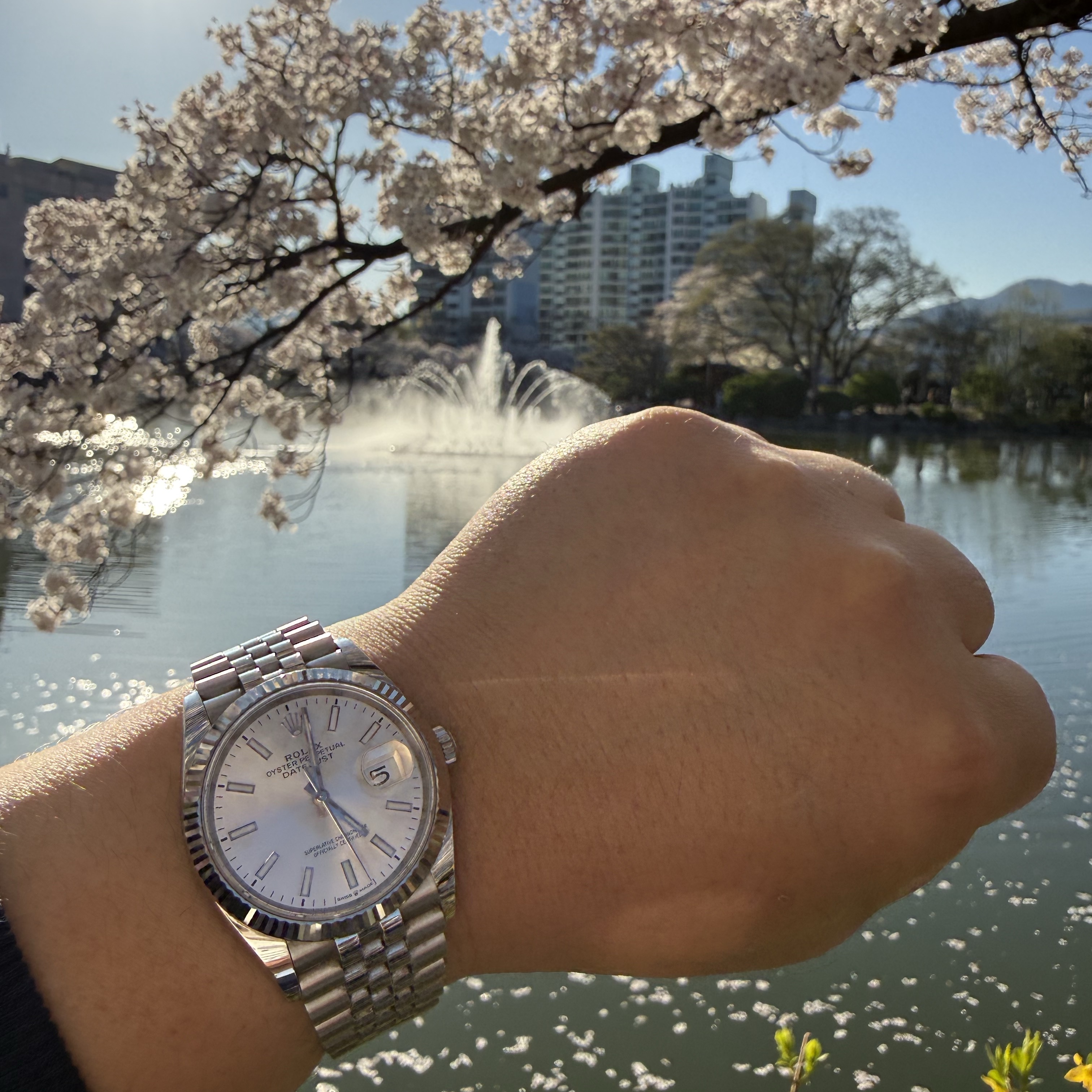 Rolex Datejust 36mm 126234 Silver Oyster 착용 스타일 - 1