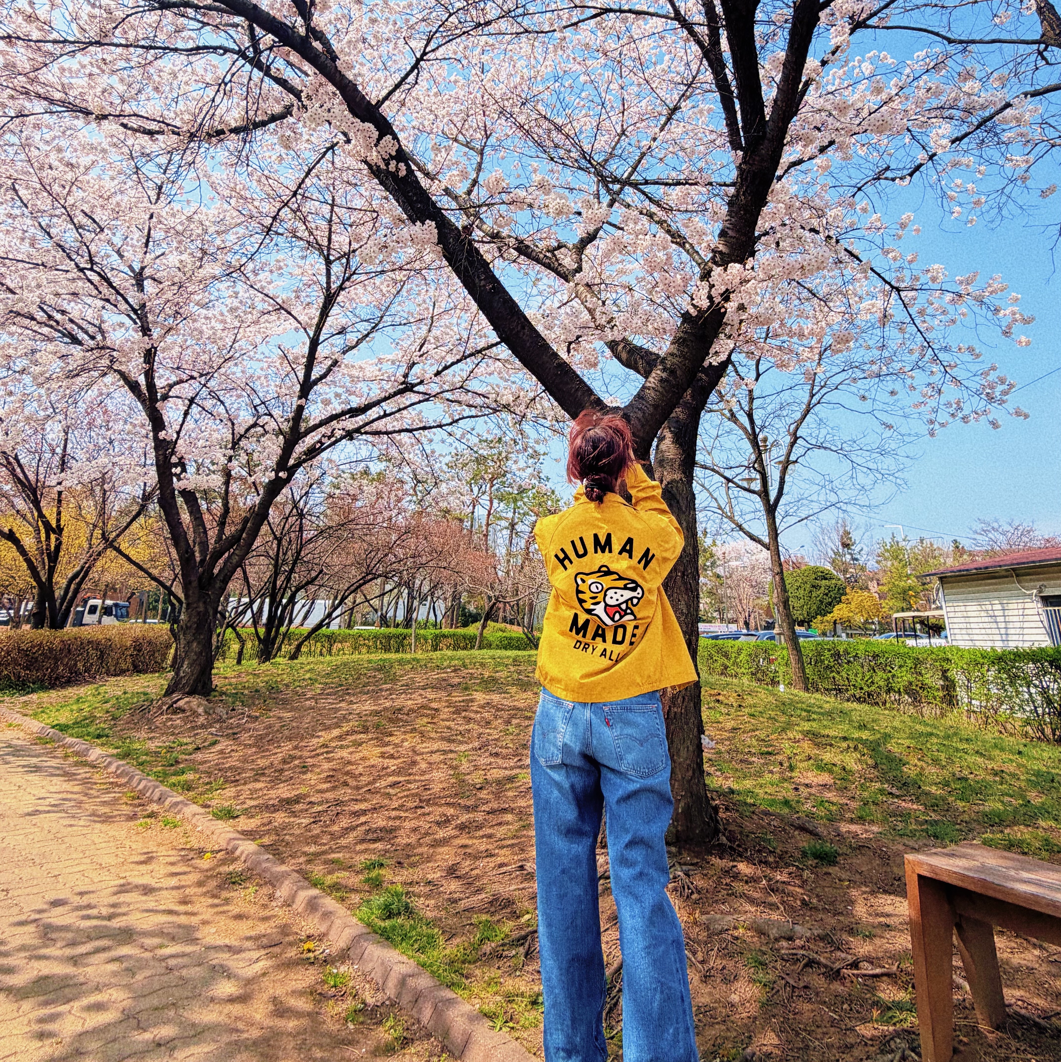 Human Made Cotton Blouson Yellow 착용 스타일 - 2