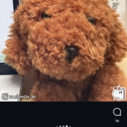 KREAM 프로필 이미지