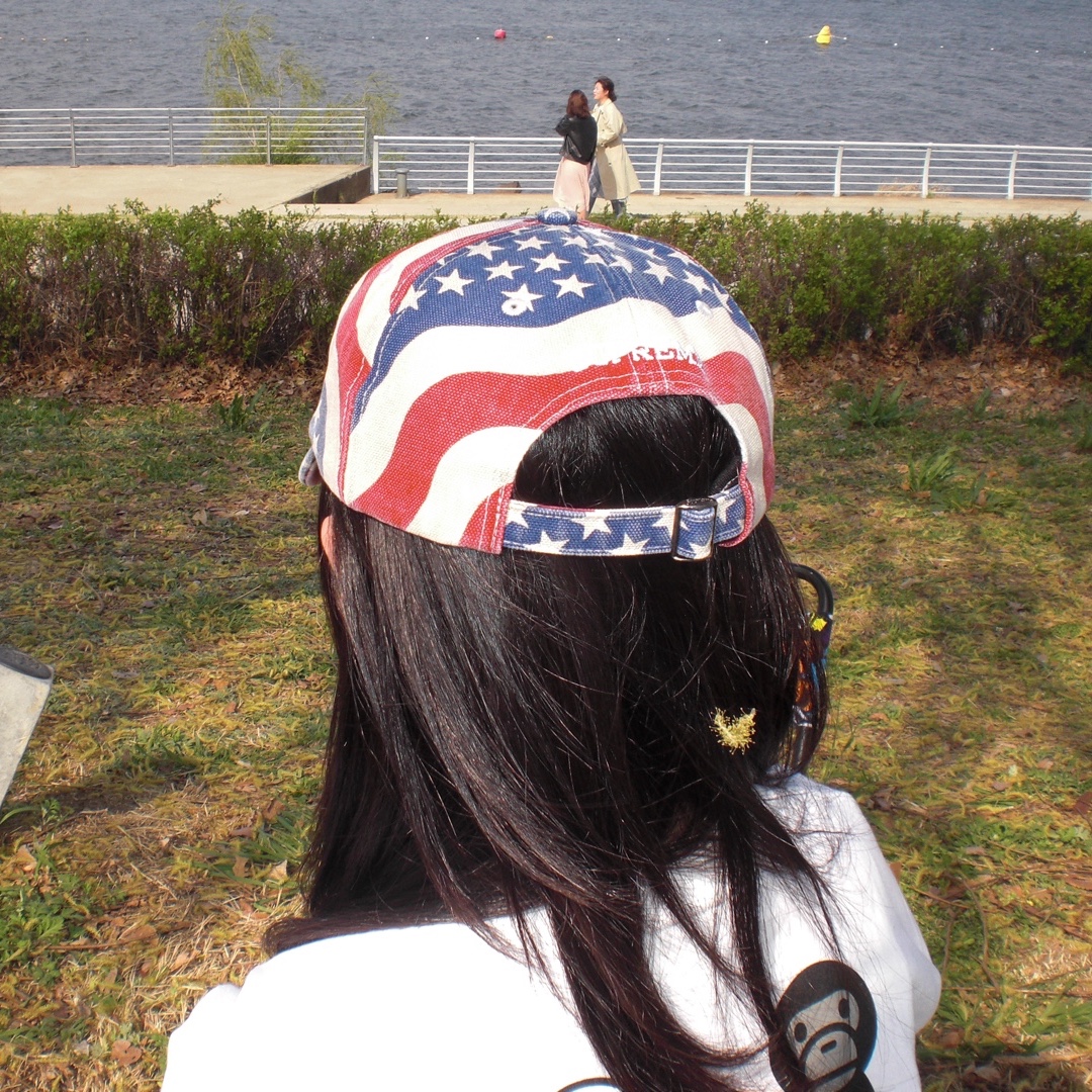Supreme Pigment Coated S Logo 6-Panel Flag - 26SS 착용 스타일 - 2