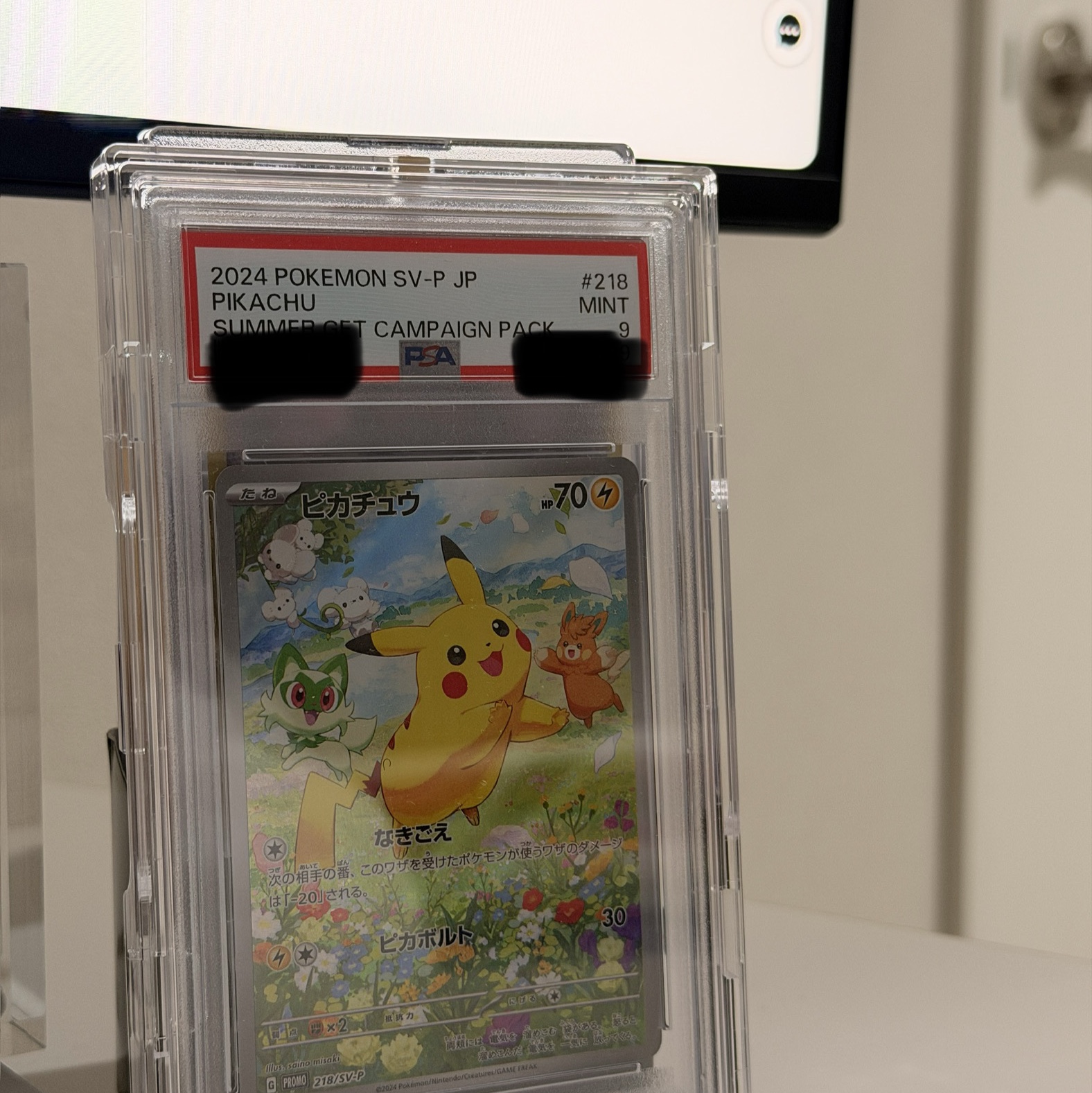 Pokemon TCG Pikachu P Scarlet & Violet Promos (Japanese Ver.) 착용 스타일