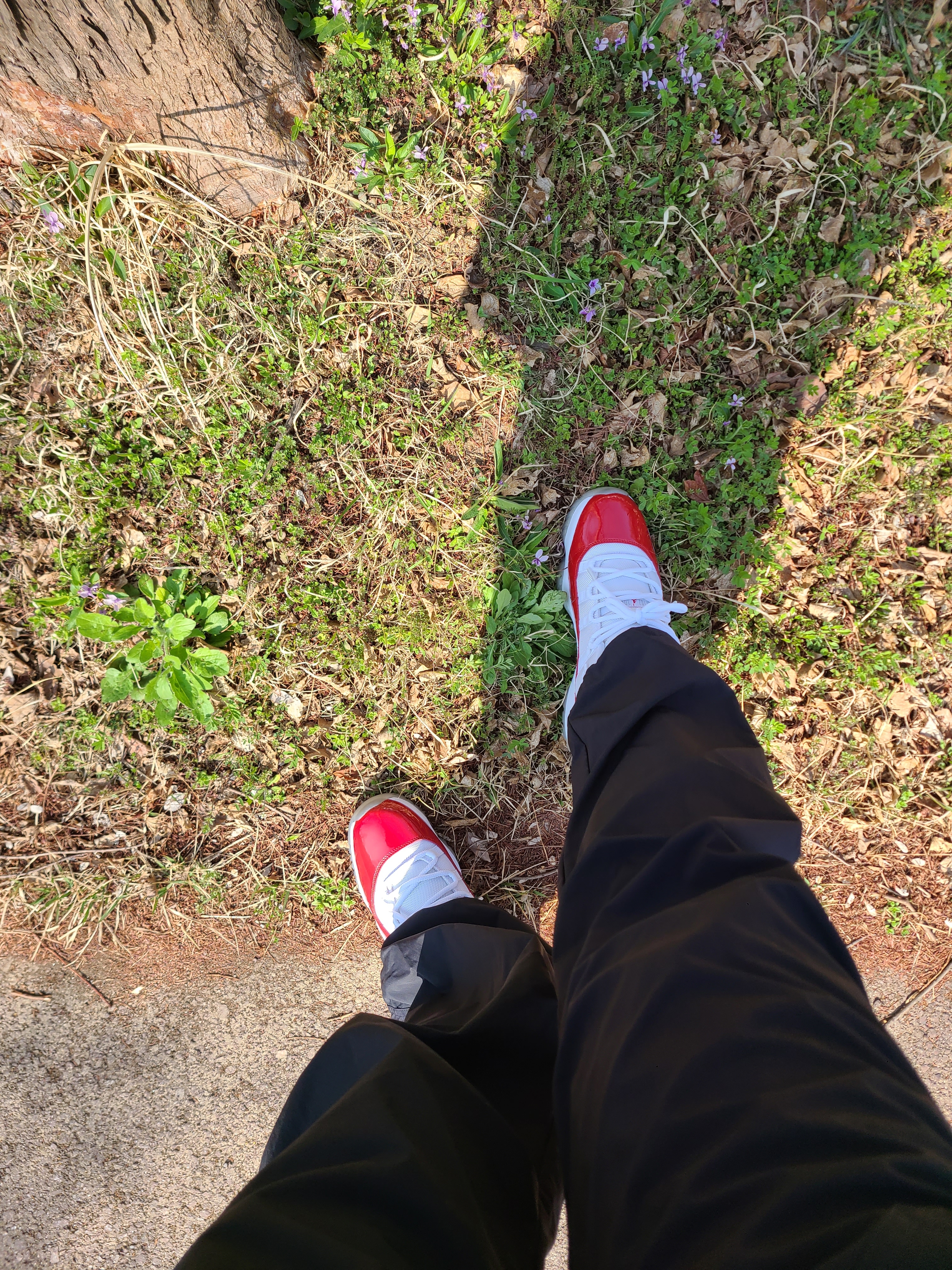 Jordan 11 Retro Low Cherry 2016 착용 스타일 - 1