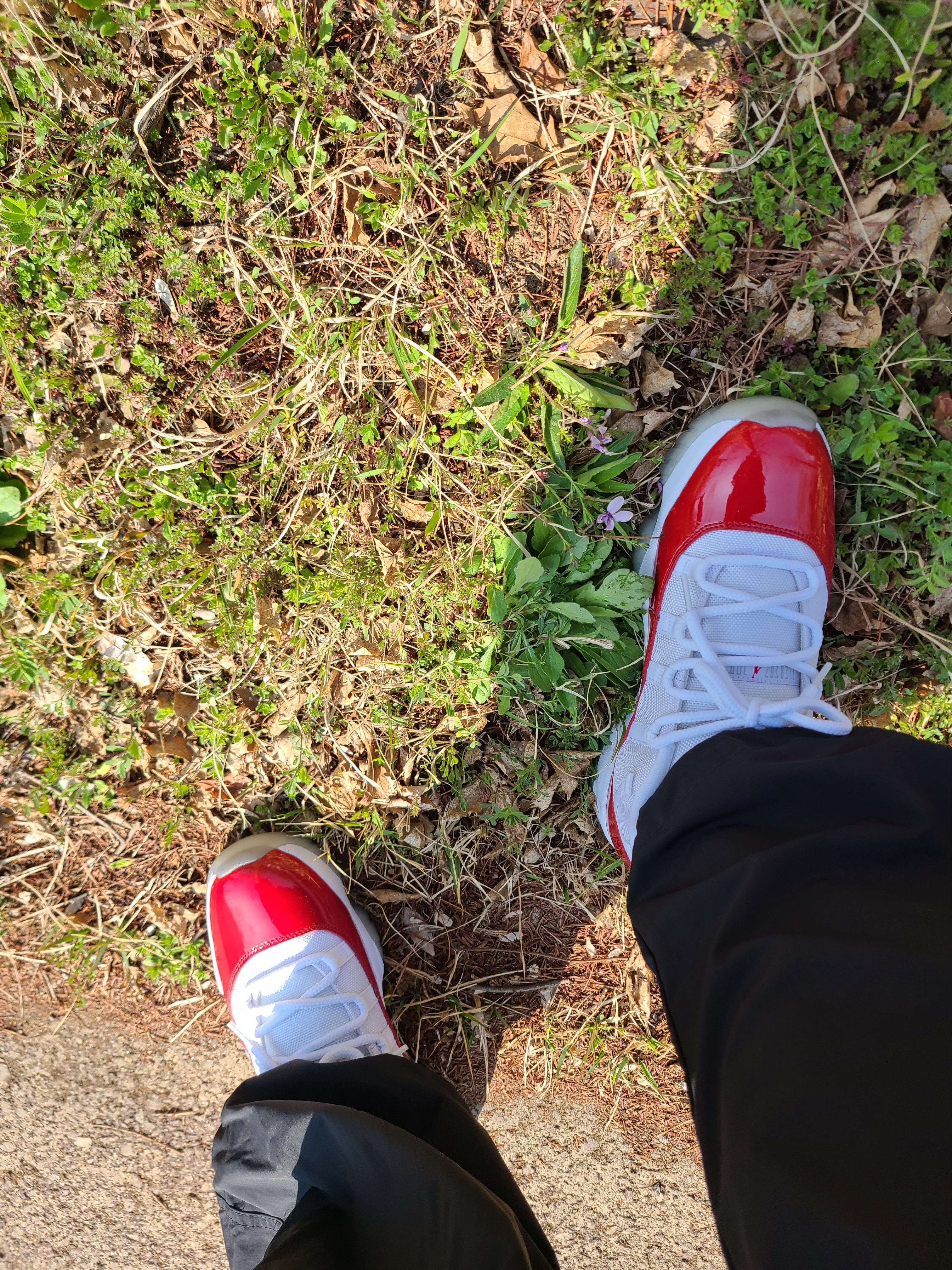 Jordan 11 Retro Low Cherry 2016 착용 스타일 - 2