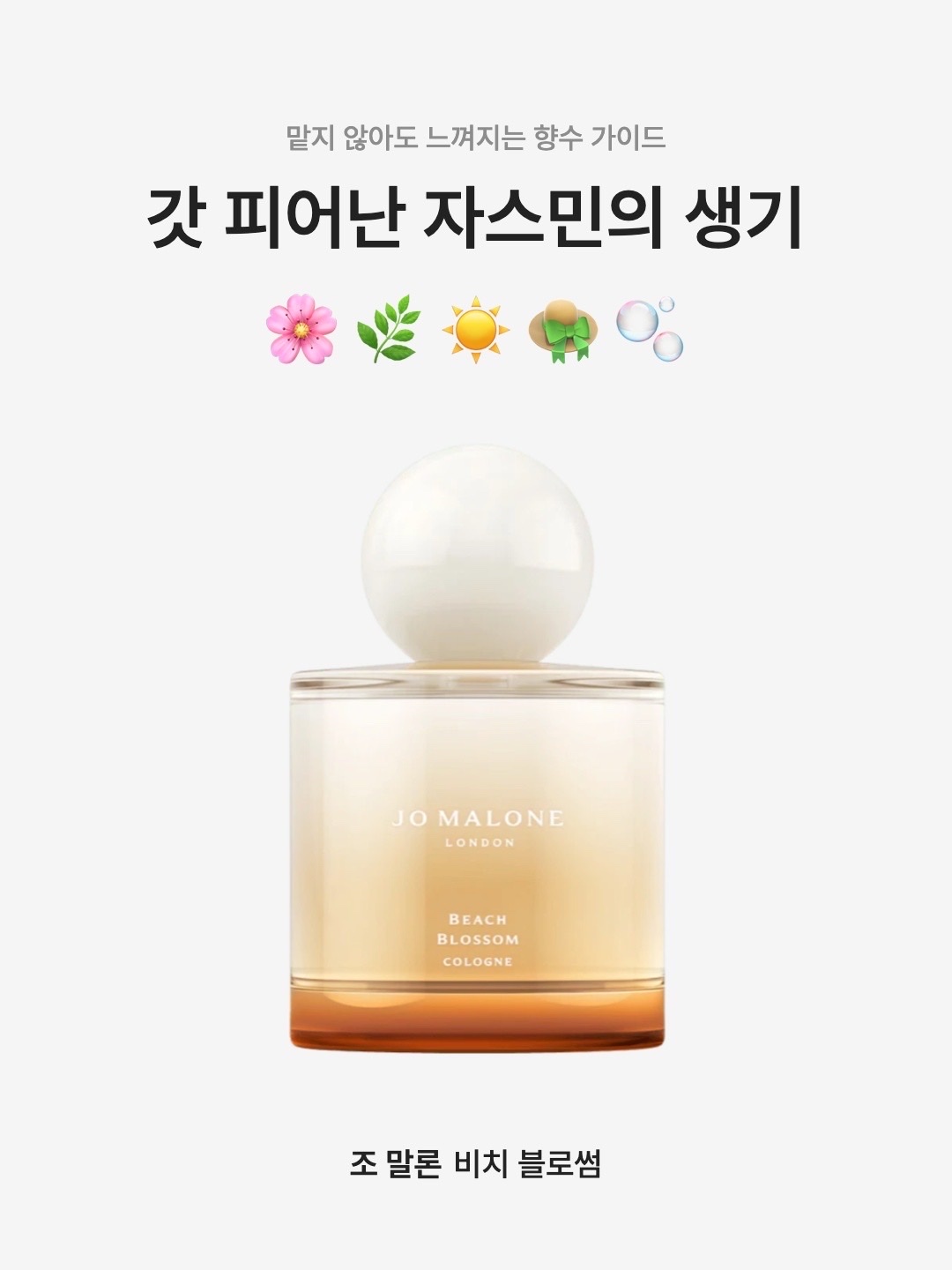 Jo Malone Beach Blossom Cologne 100ml, Jo Malone Beach Blossom Cologne 50ml 착용 스타일 - 1
