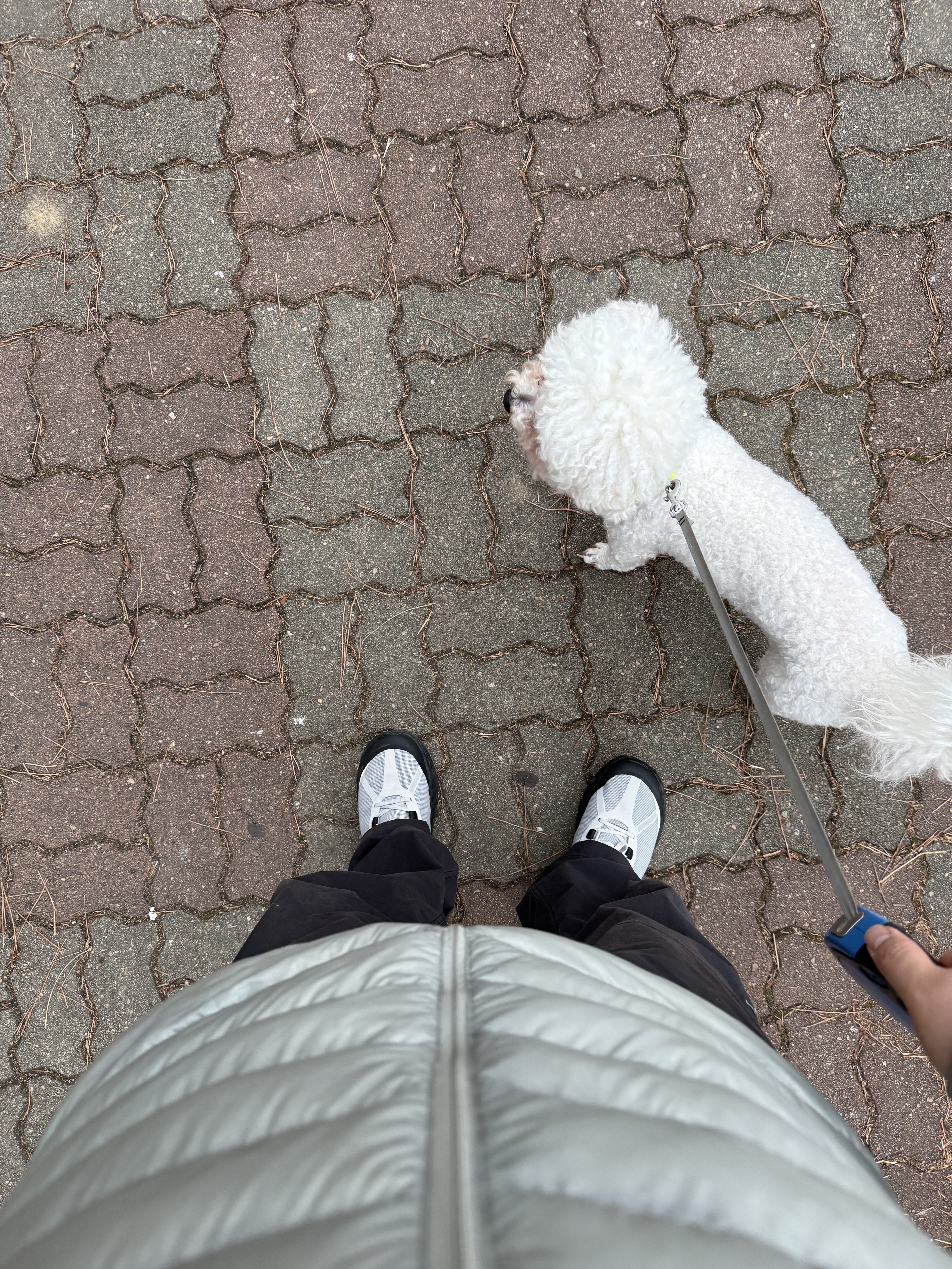 너구리님의 스타일