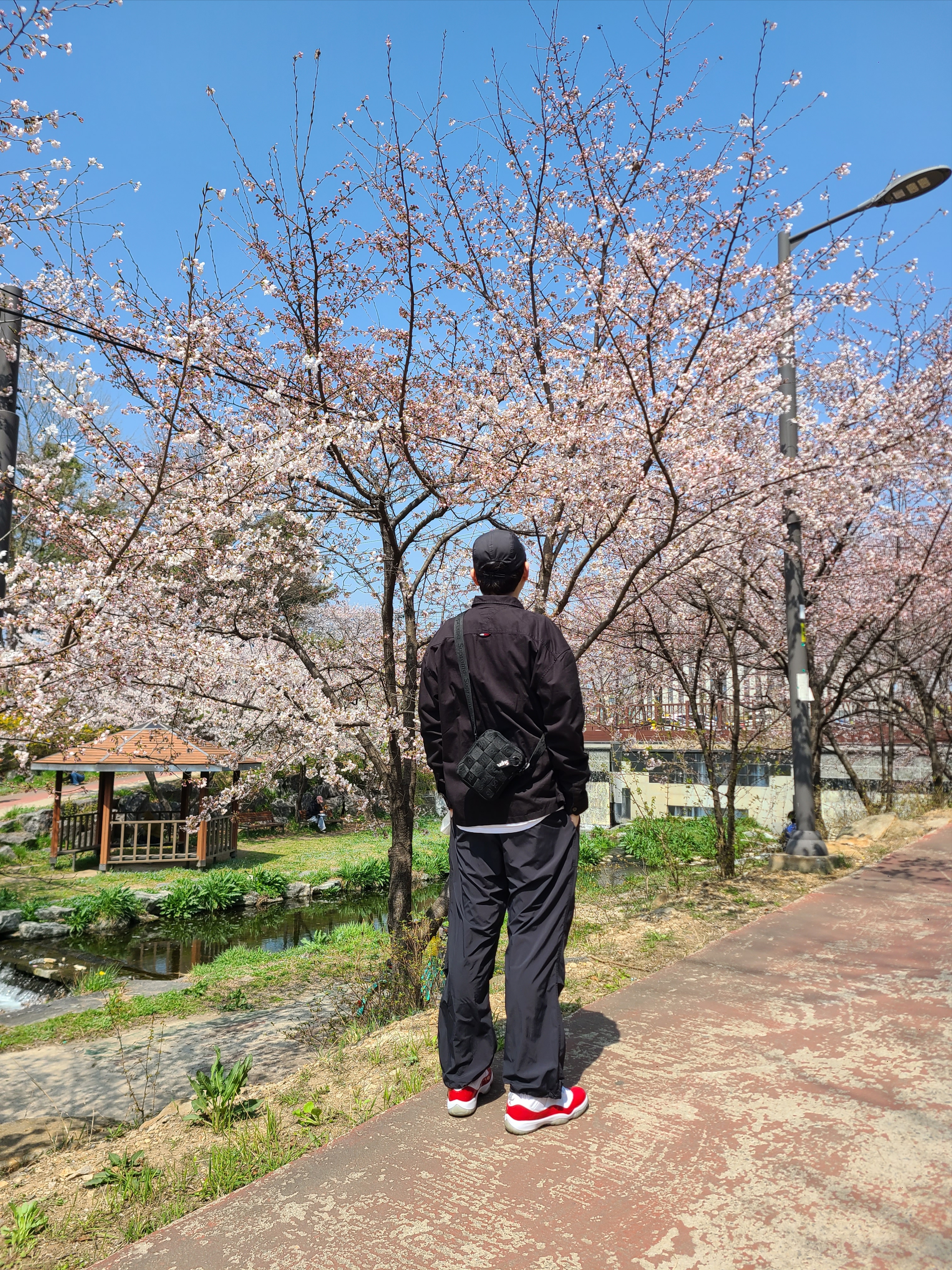 Jordan 11 Retro Low Cherry 2016, Supreme Woven Shoulder Bag Black - 24SS 착용 스타일