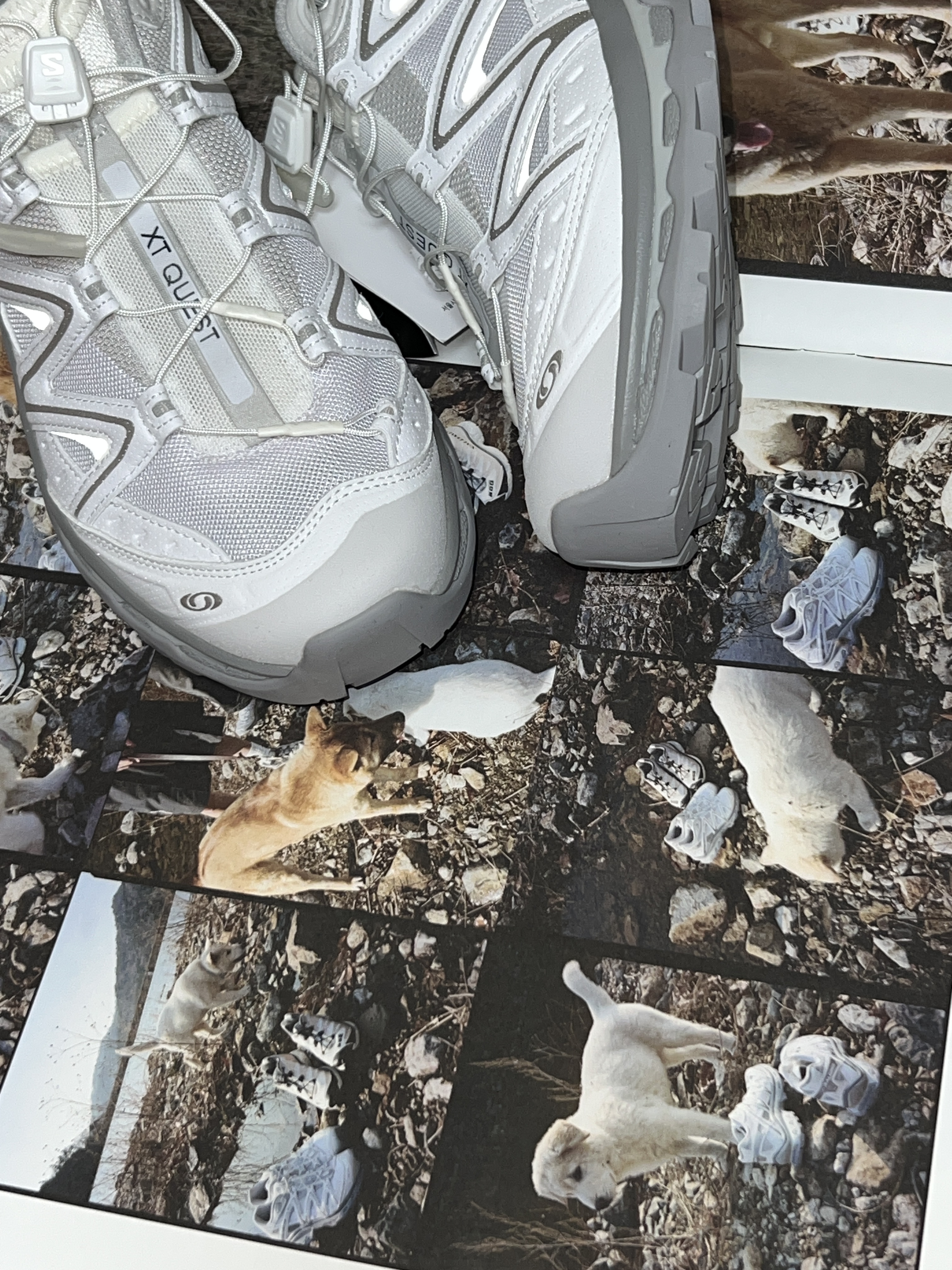 Salomon XT-Quest White Jindo White FTW Silver 착용 스타일 - 2
