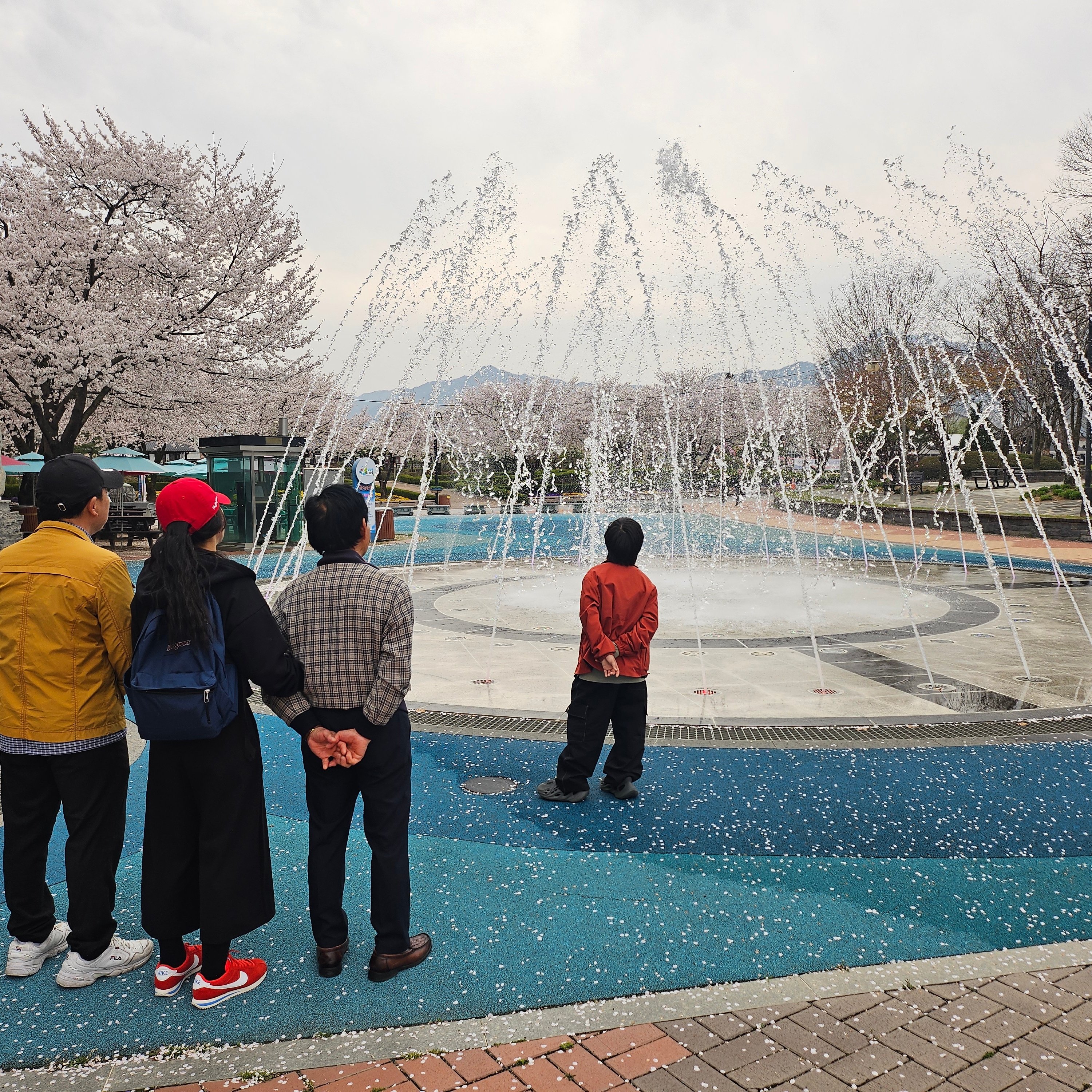 (W) Nike Cortez Light Crimson Light Photo Blue, Adidas Yeezy Foam RNNR Carbon 착용 스타일 - 1
