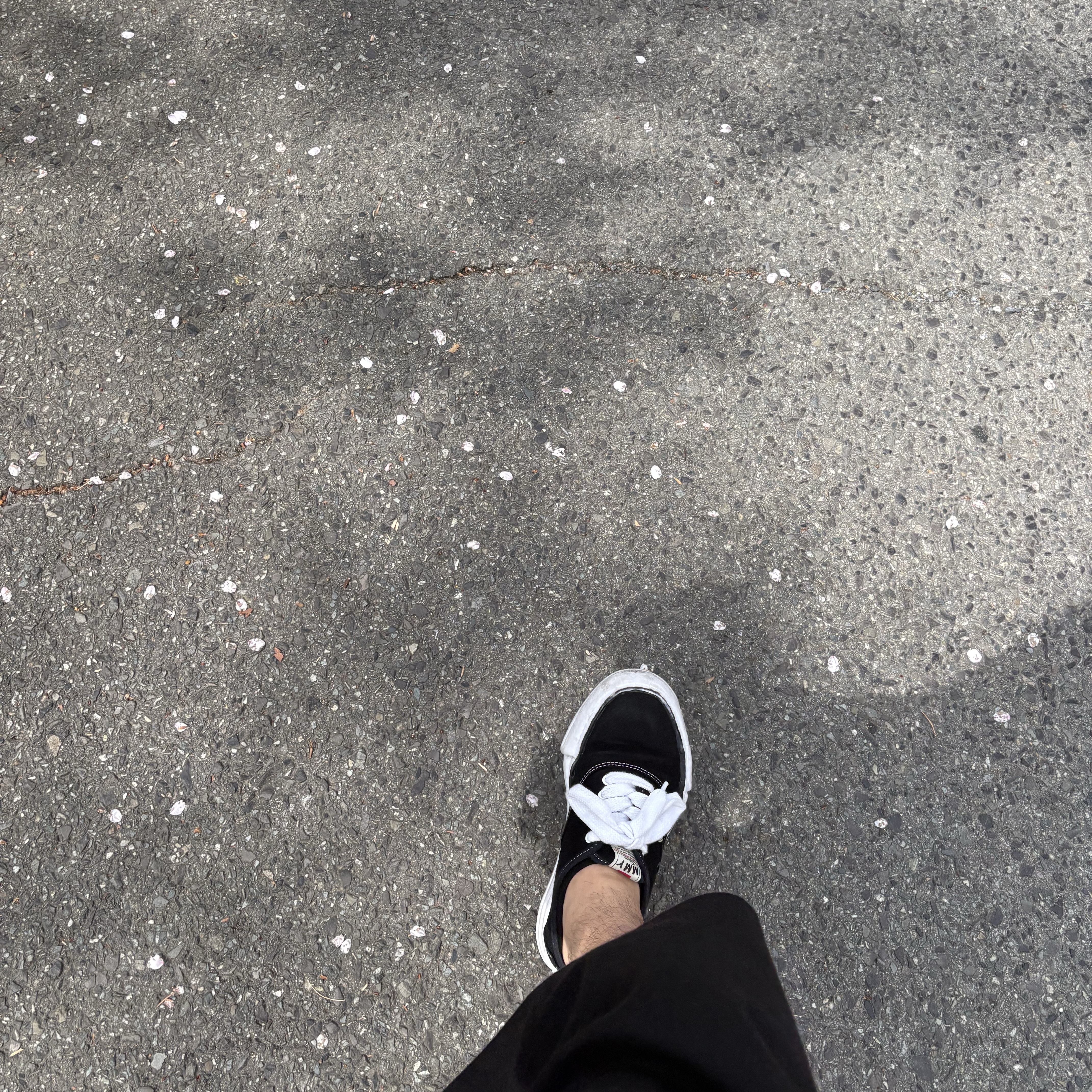 Maison Mihara Yasuhiro Baker OG Sole Canvas Low Cut Sneakers Black 착용 스타일 - 5