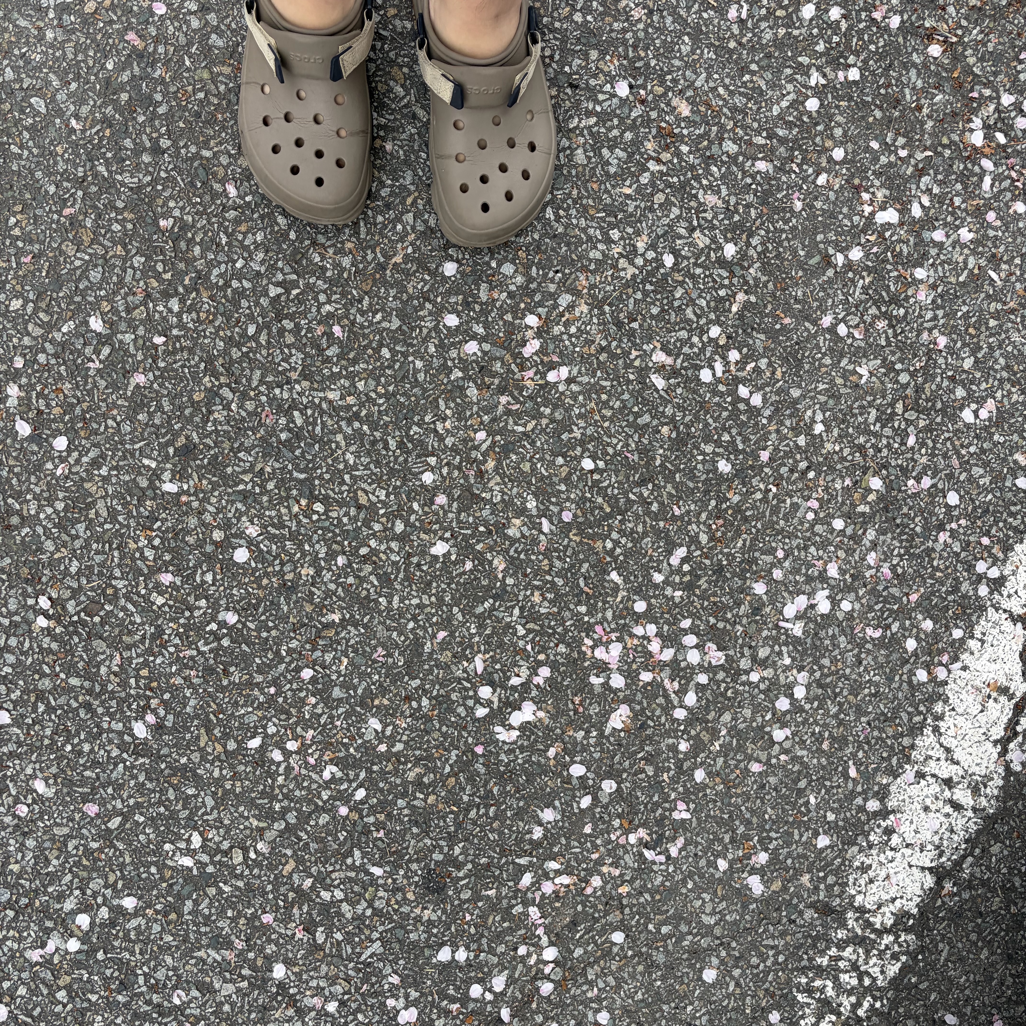 Crocs All Terrain Clog Khaki 착용 스타일