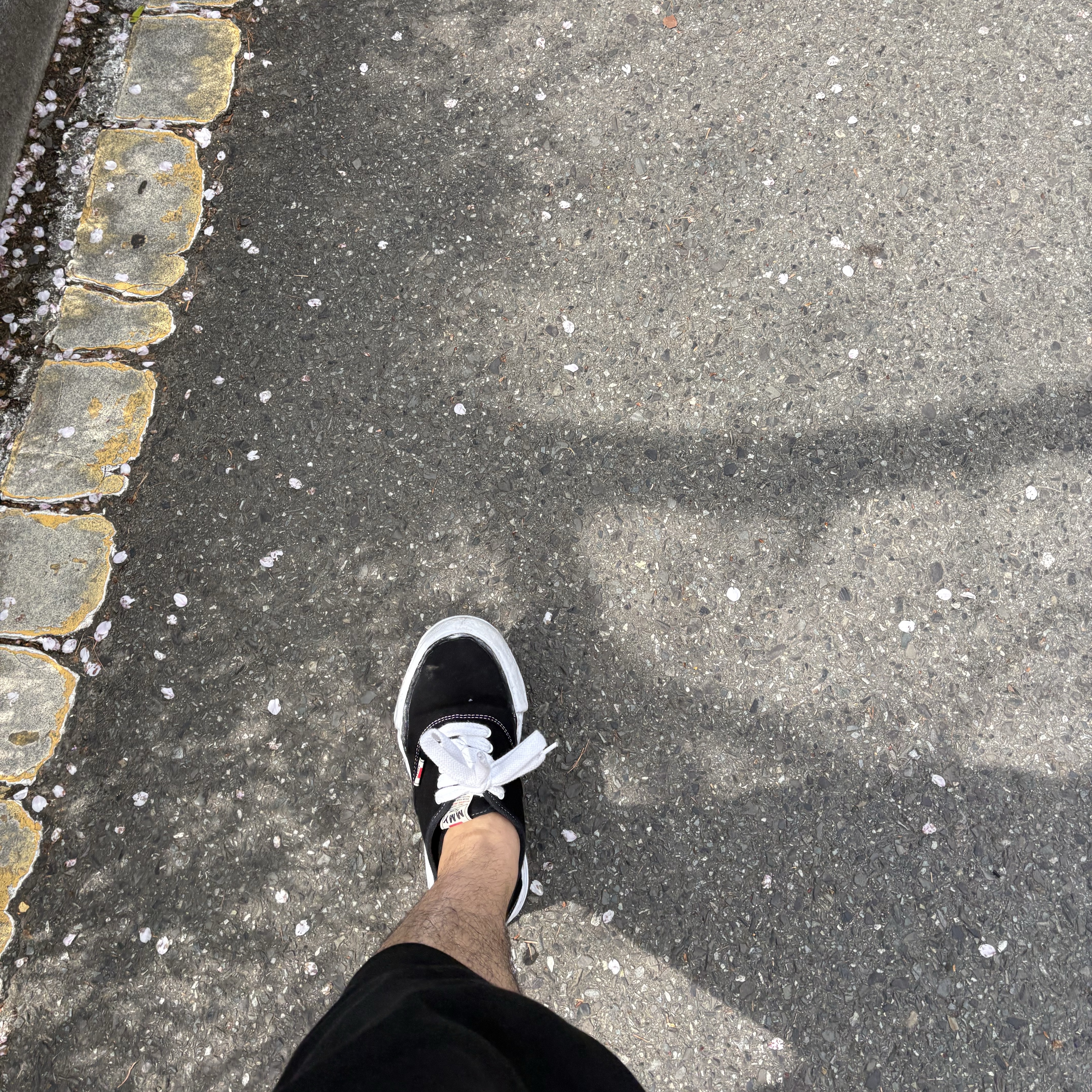 Maison Mihara Yasuhiro Baker OG Sole Canvas Low Cut Sneakers Black 착용 스타일 - 4