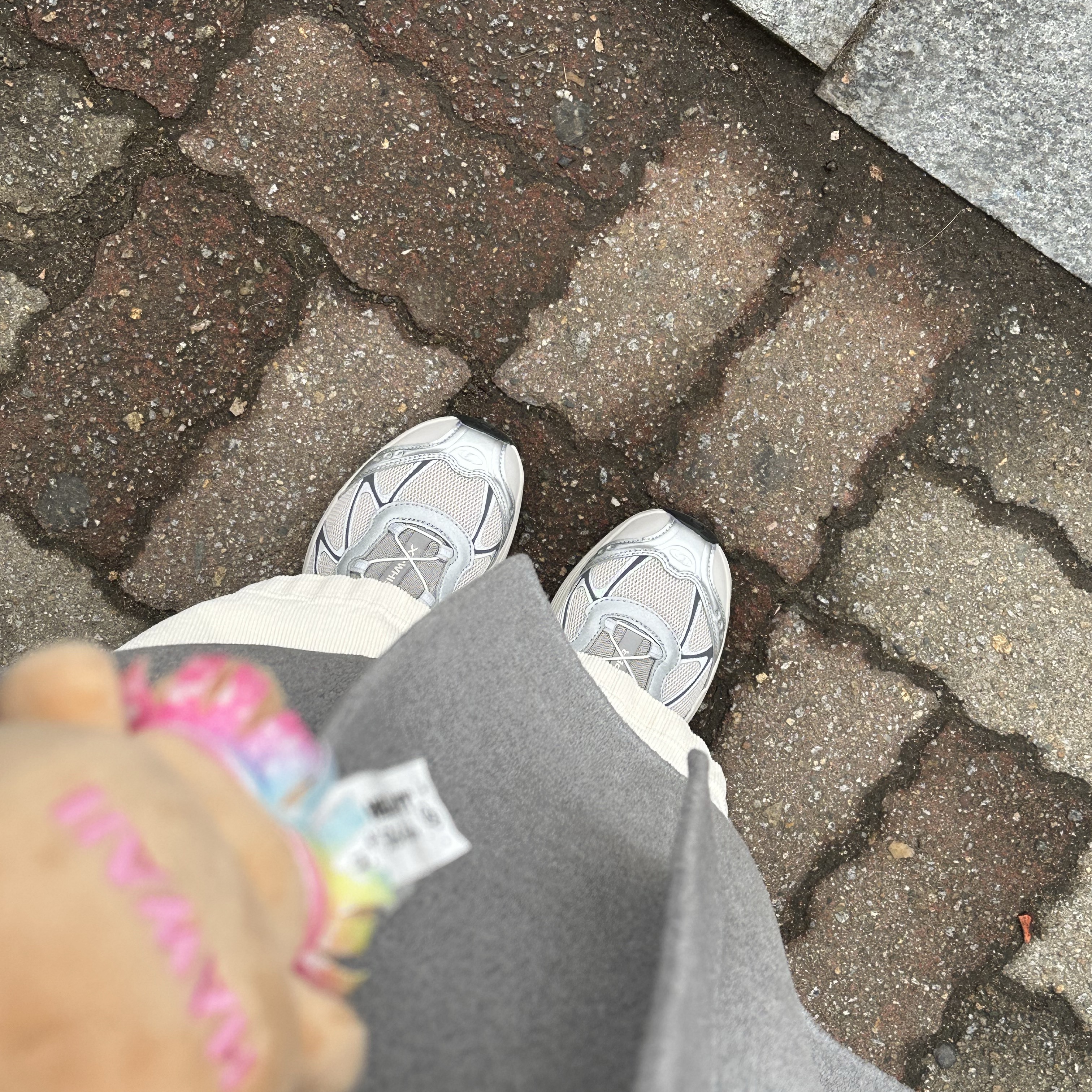 Salomon XT-Whisper Silver Lunar Rock 착용 스타일 - 1