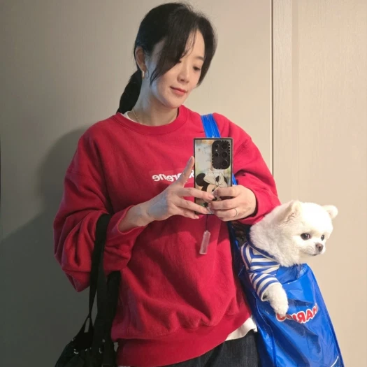 스타일 카드