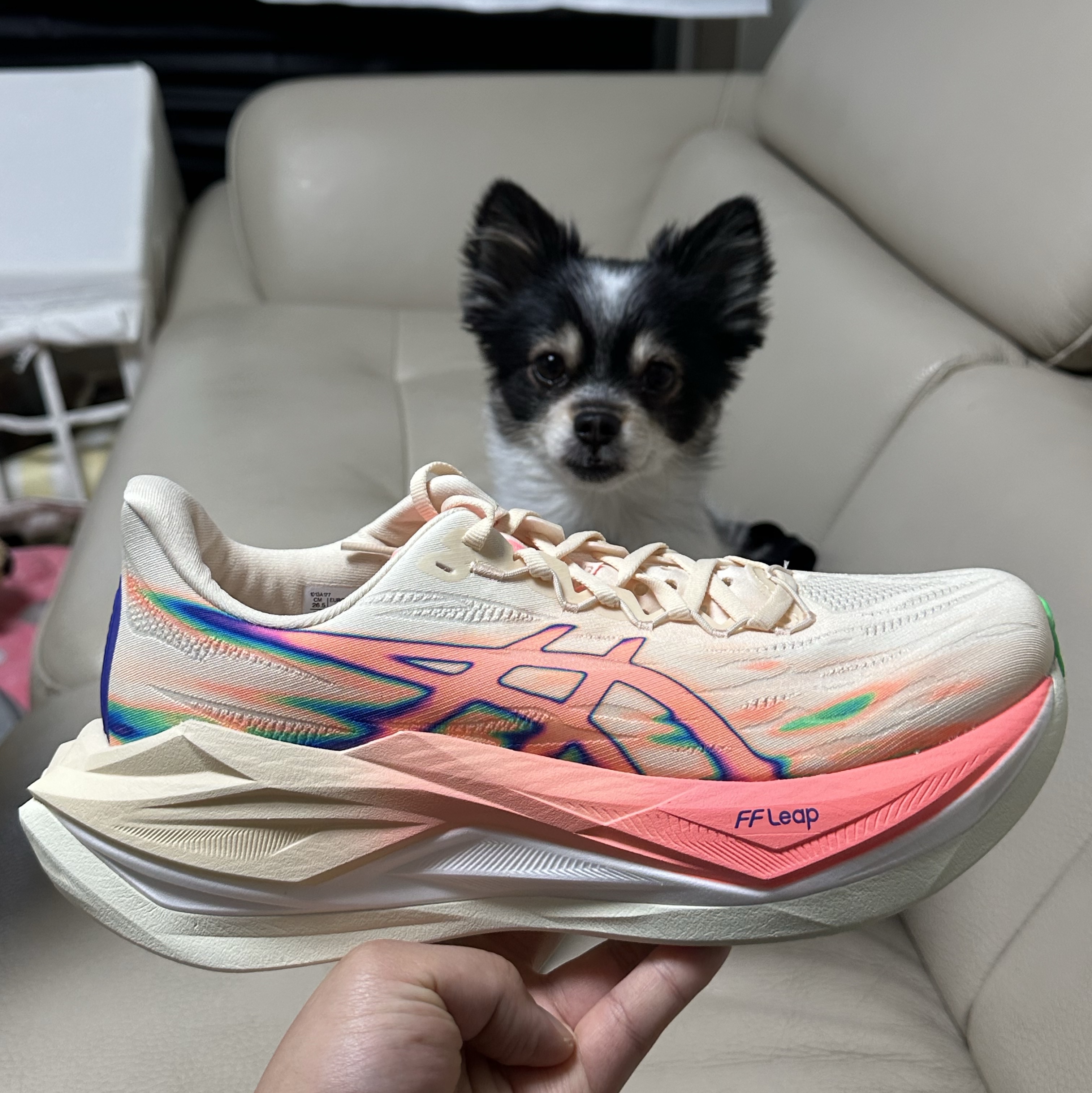 Asics Superblast 3 Seashell Sun Coral, Asics Superblast 2 Black White 착용 스타일 - 6