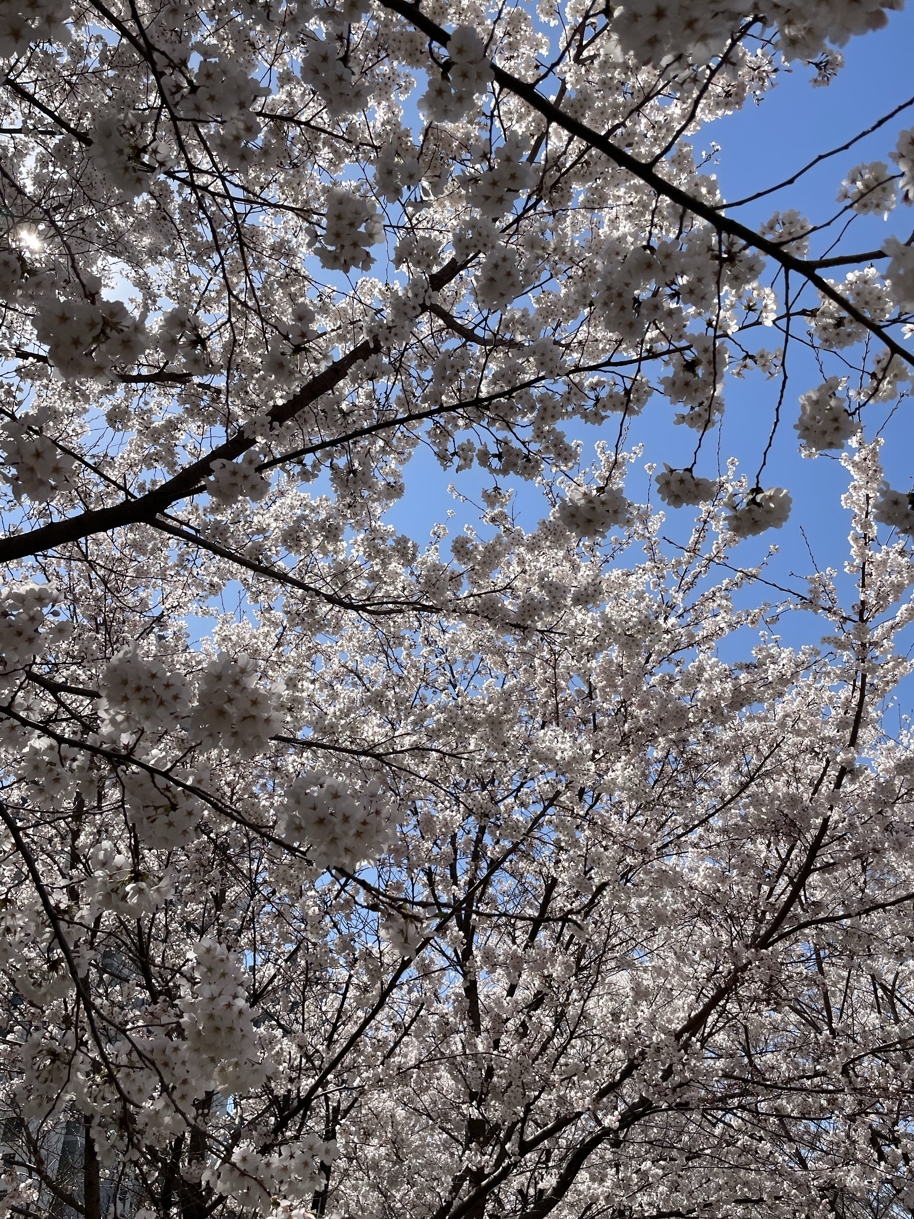 slashdh님의 스타일 - 2