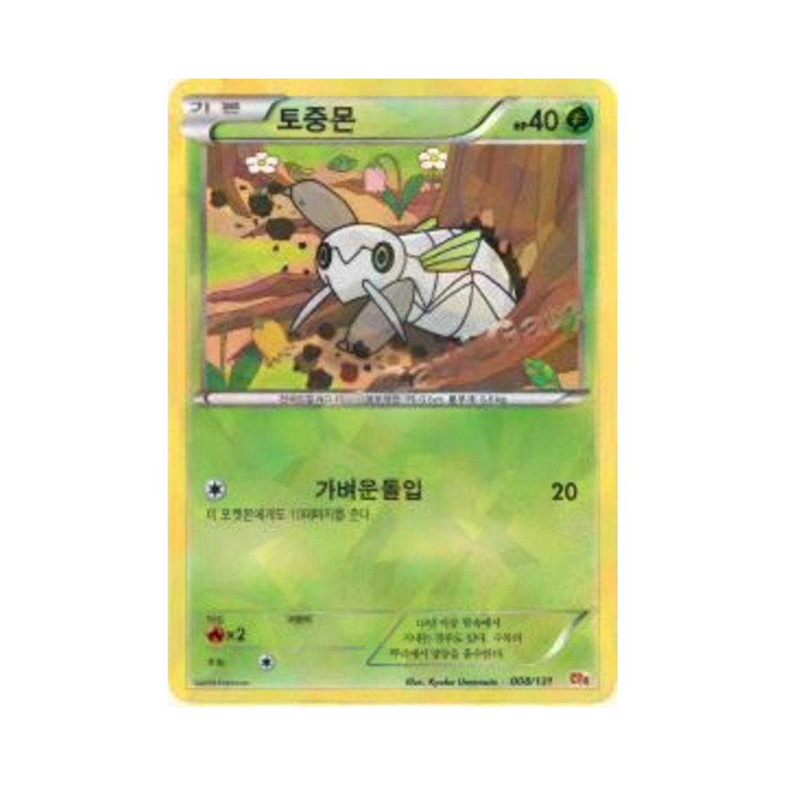 포켓몬 TCG 토중몬 프리미엄 챔피언팩 (한글판)(Pokemon TCG Nincada ex x M x Break Premium Champion Pack (Korean Ver.)) - 1