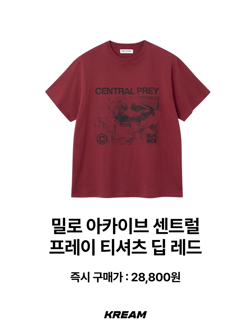GILDAN X Vintage Collection NEED MONEY FOR PORSHCE T-Shirt, AAA x American Collection AAU  T-Shirt 착용 스타일 - 8