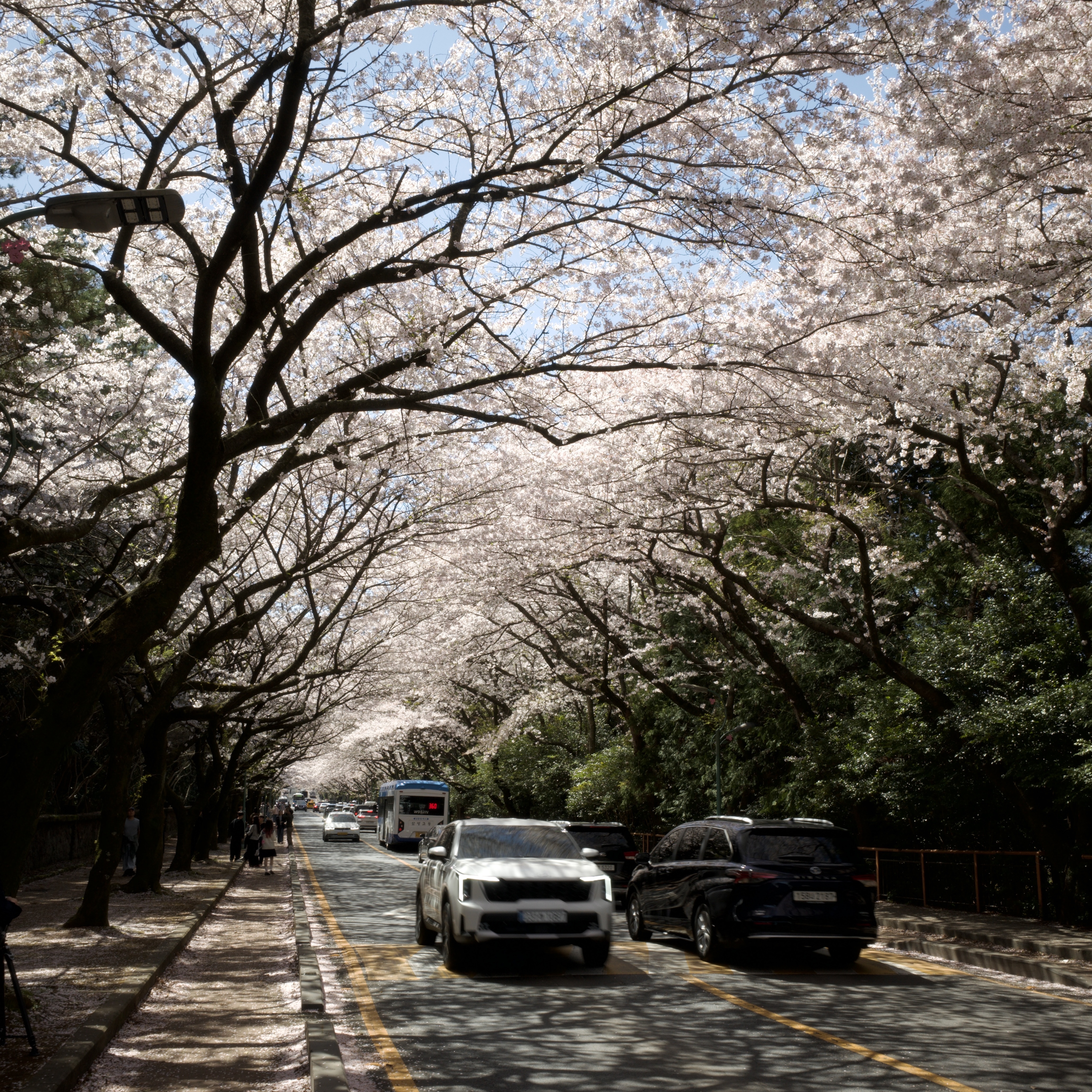 Ricoh GR IV Black (Korean Ver.) 착용 스타일