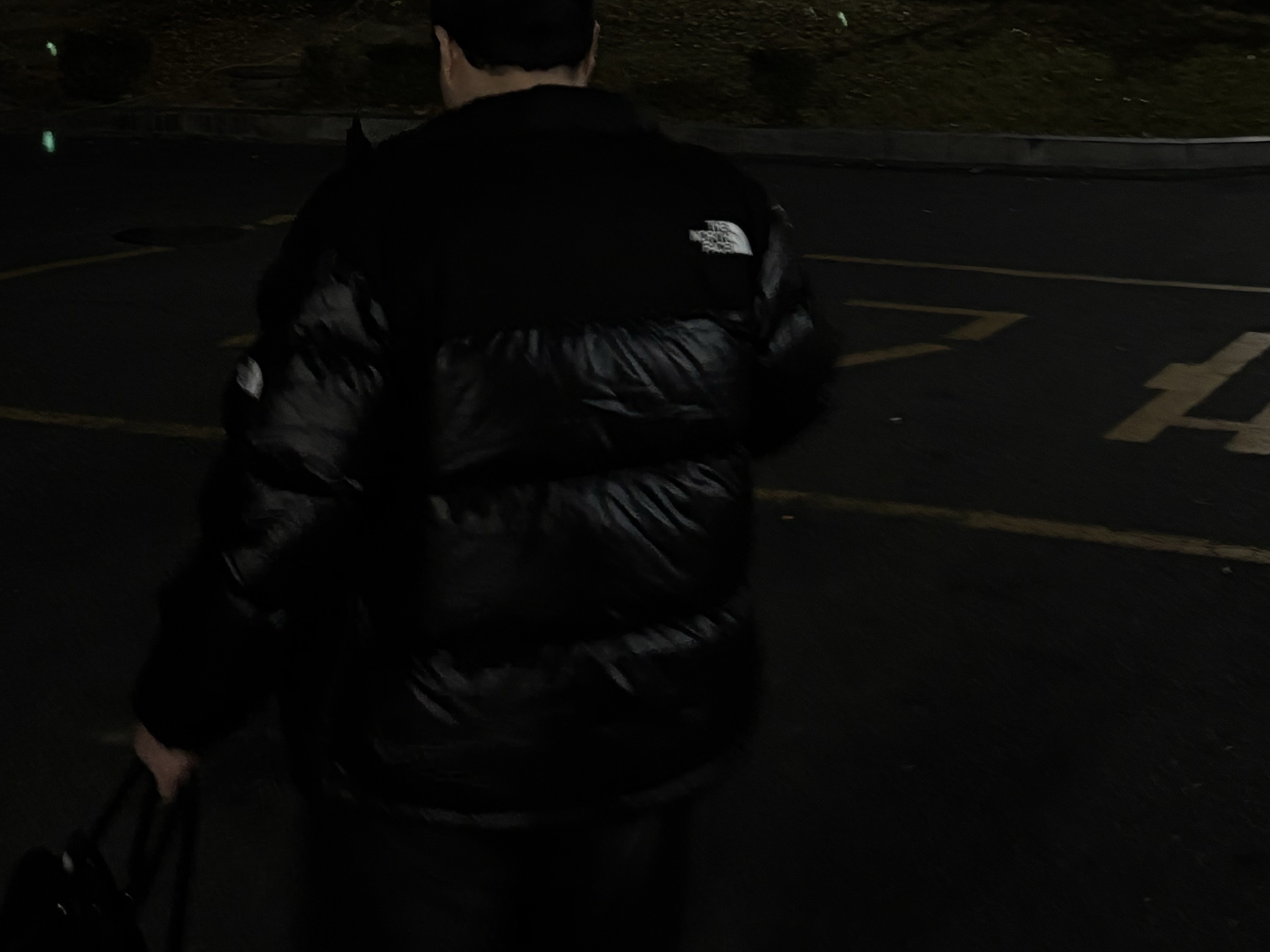 The North Face White Label Novelty Nuptse RDS Down Jacket Black 착용 스타일 - 3