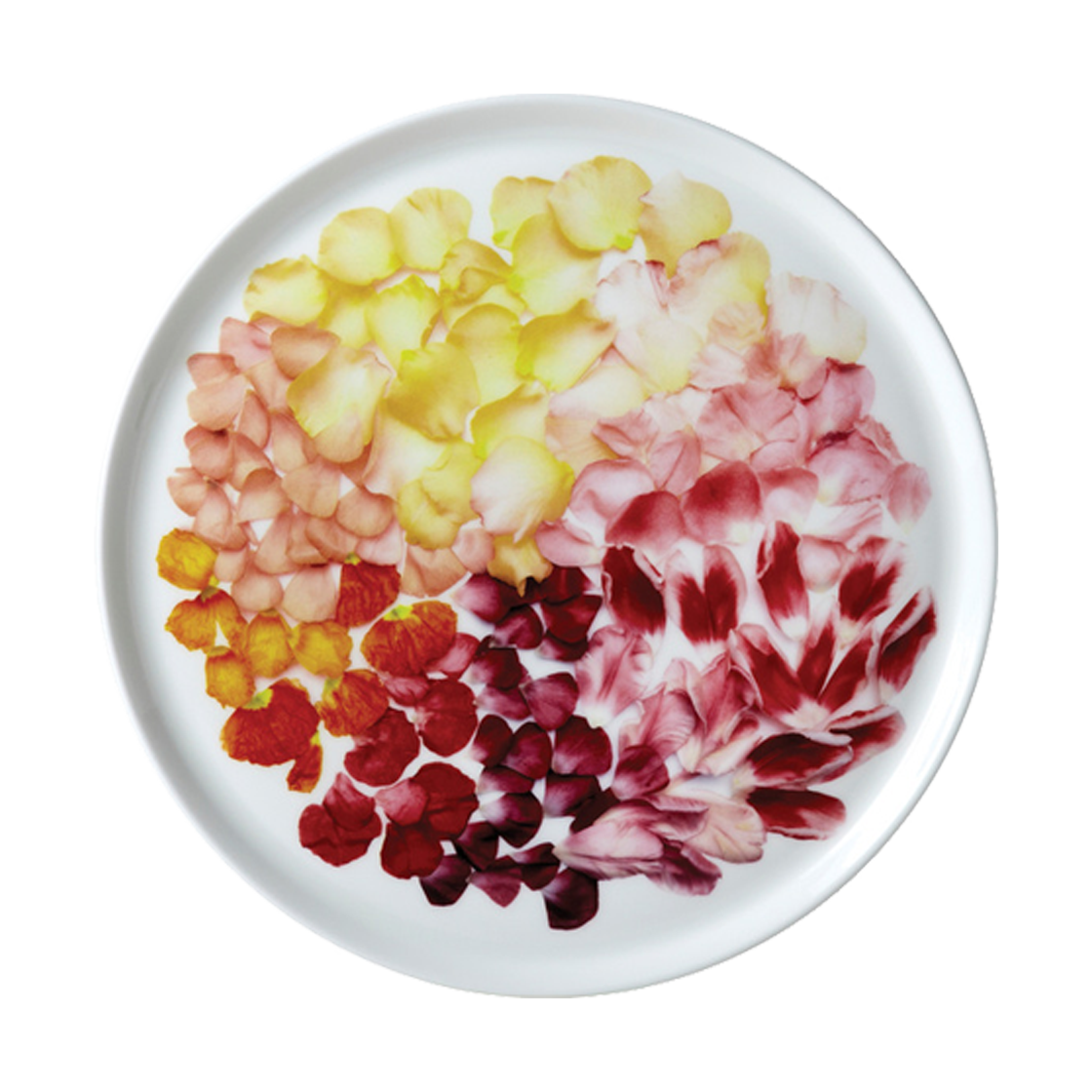 376 TWIG NEWYORK Petal 8 plate