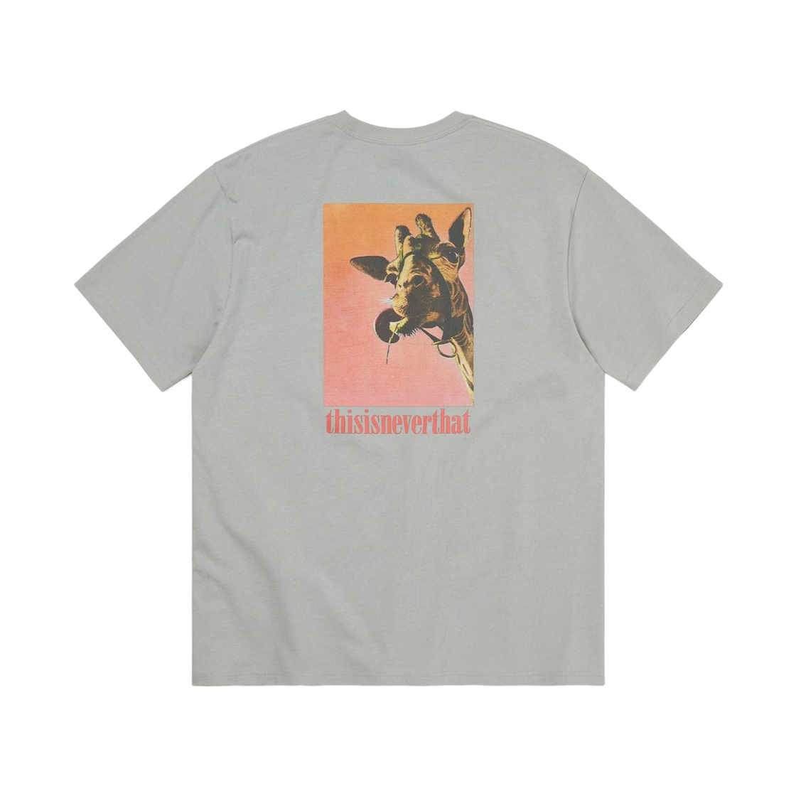 디스이즈네버댓 지라프 티셔츠 그레이(Thisisneverthat Giraffe T-Shirt Grey) - 1