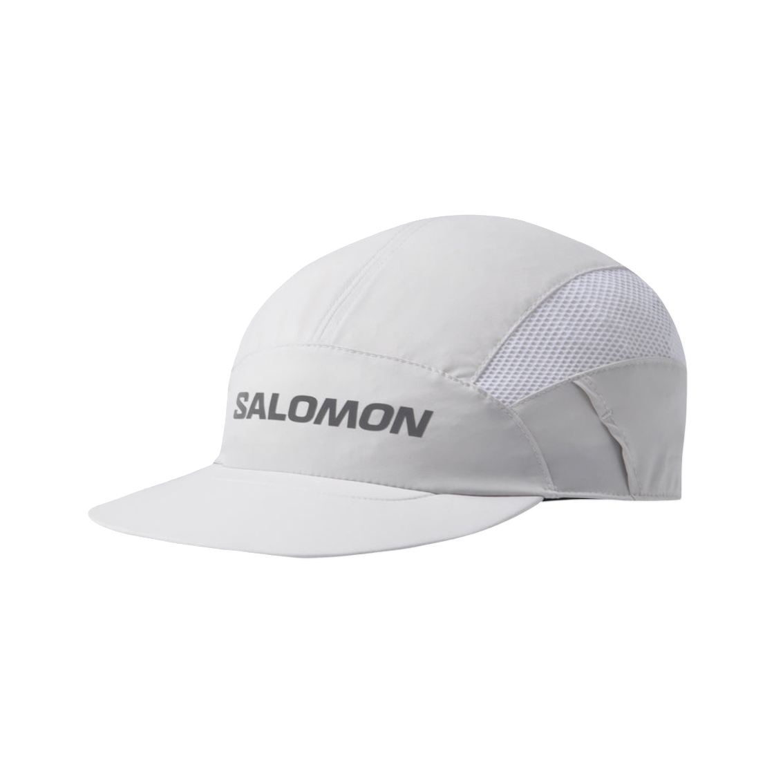 살로몬 링크 6 패널 캡 베이지 | Salomon | KREAM