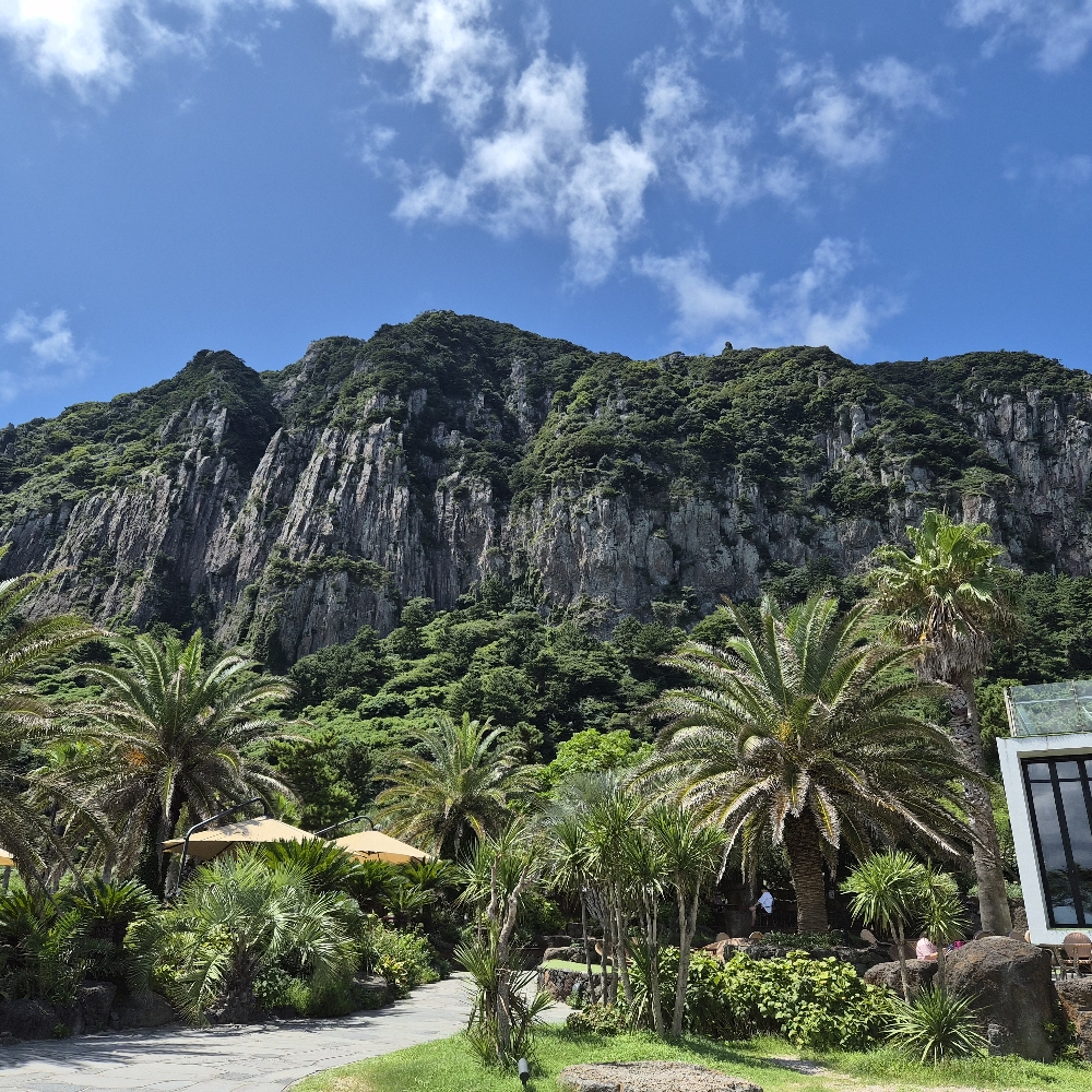 관심 유저 프로필 이미지