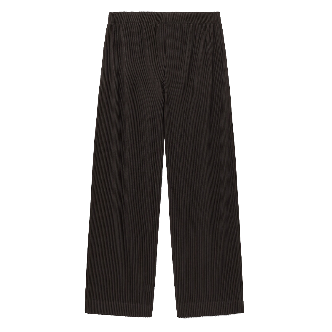 티엔지티 우먼 요요기 플리츠 와이드 팬츠 브라운(TNGT W Yoyogi Pleats Wide Pants Brown)