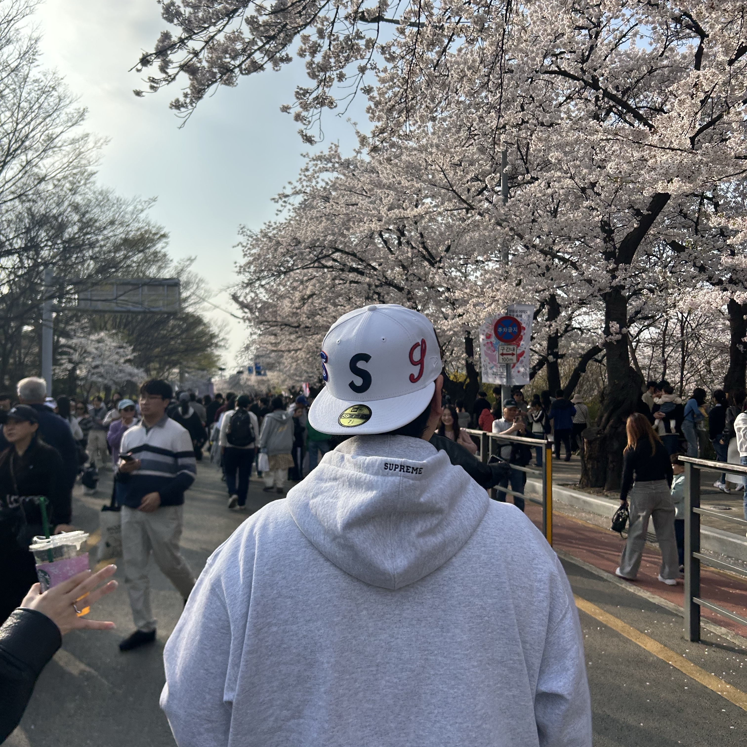 Supreme Devil S Logo Zip Up Hooded Sweatshirt Ash Grey - 26SS, Supreme Multi S Logo New Era White - 25SS 착용 스타일 - 3