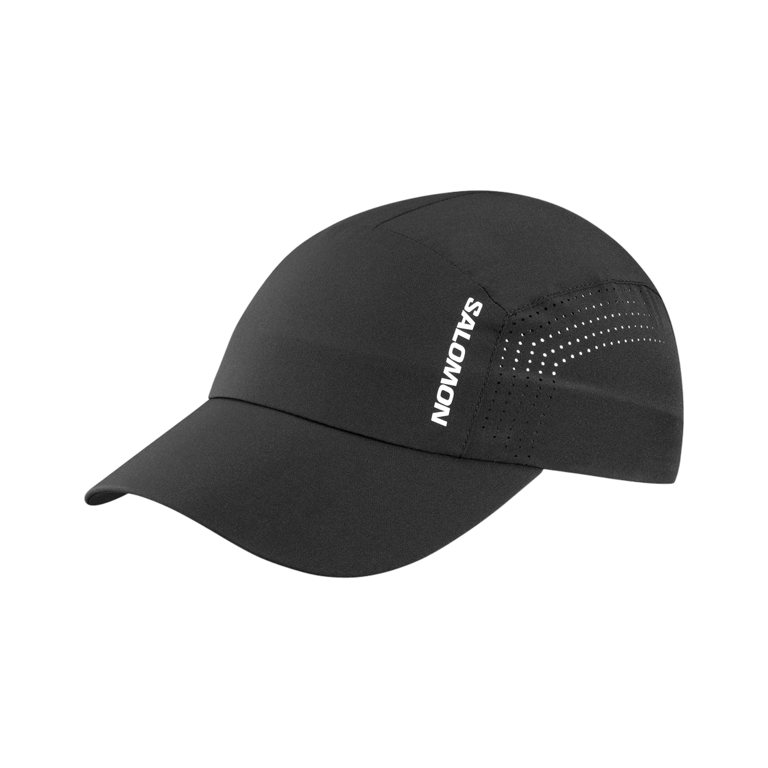 LC2764500 Salomon Shakeout Cap Black