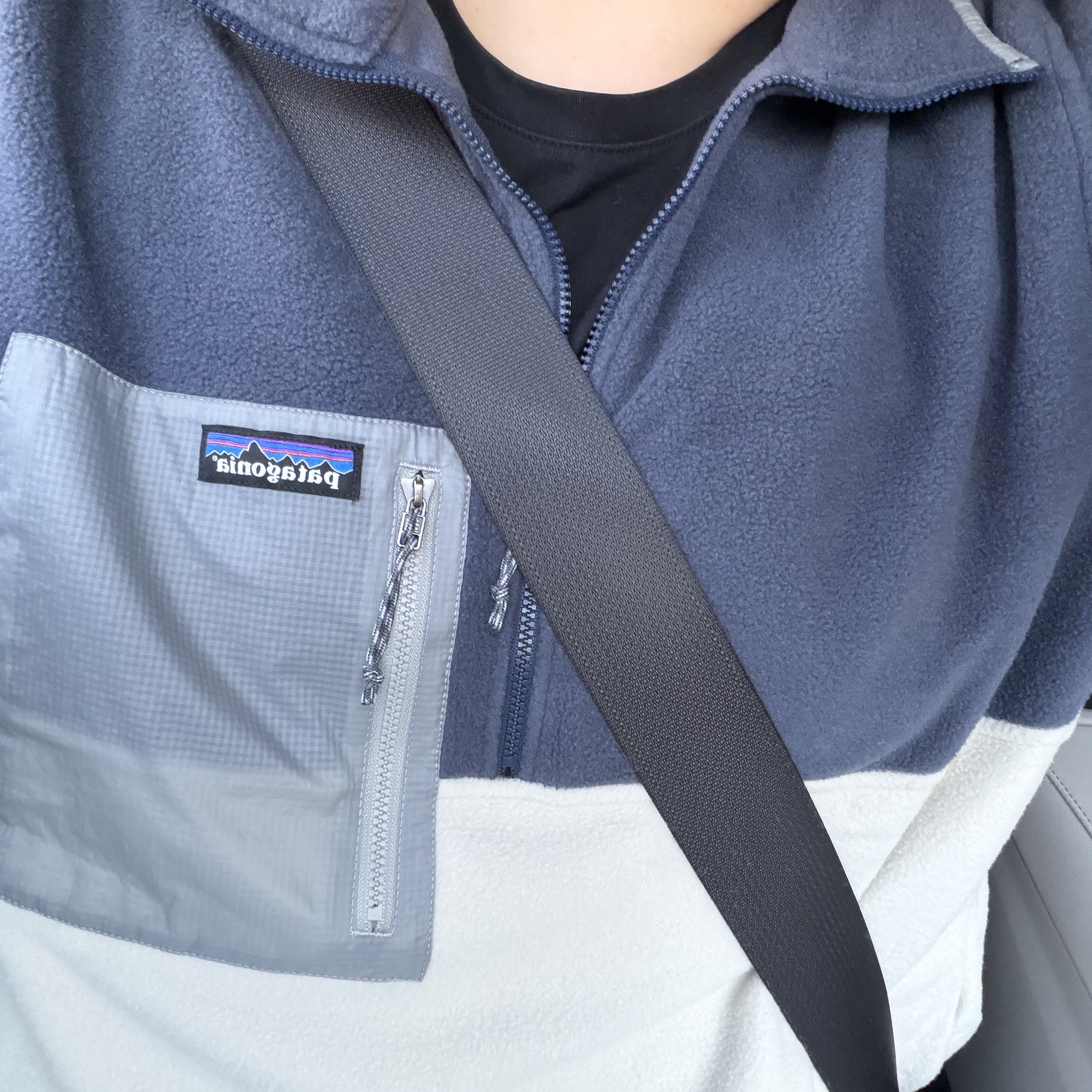 Patagonia Microdini Half Zip Fleece Pullover Pelican 착용 스타일