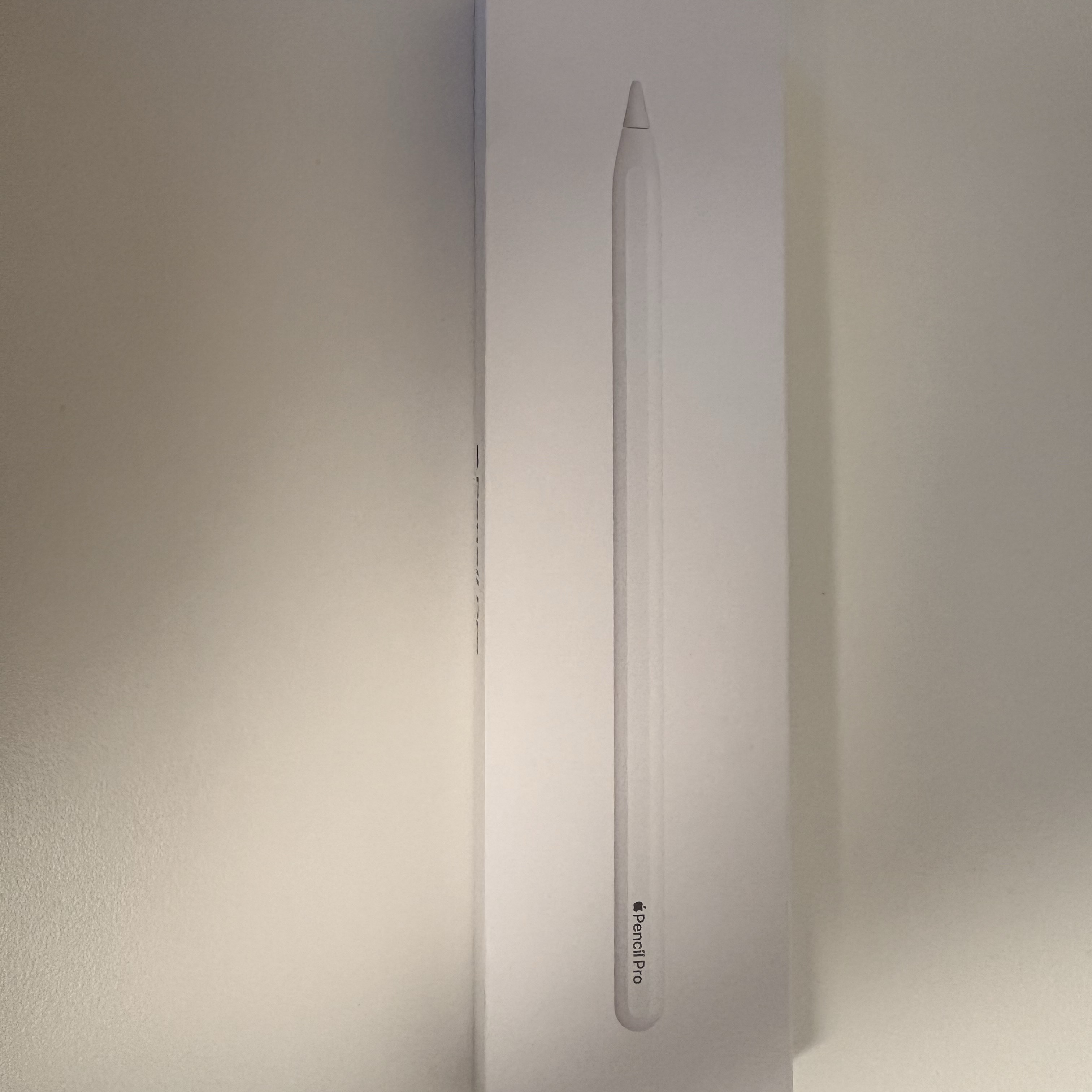 Apple Pencil Pro (Korean Ver.) 착용 스타일