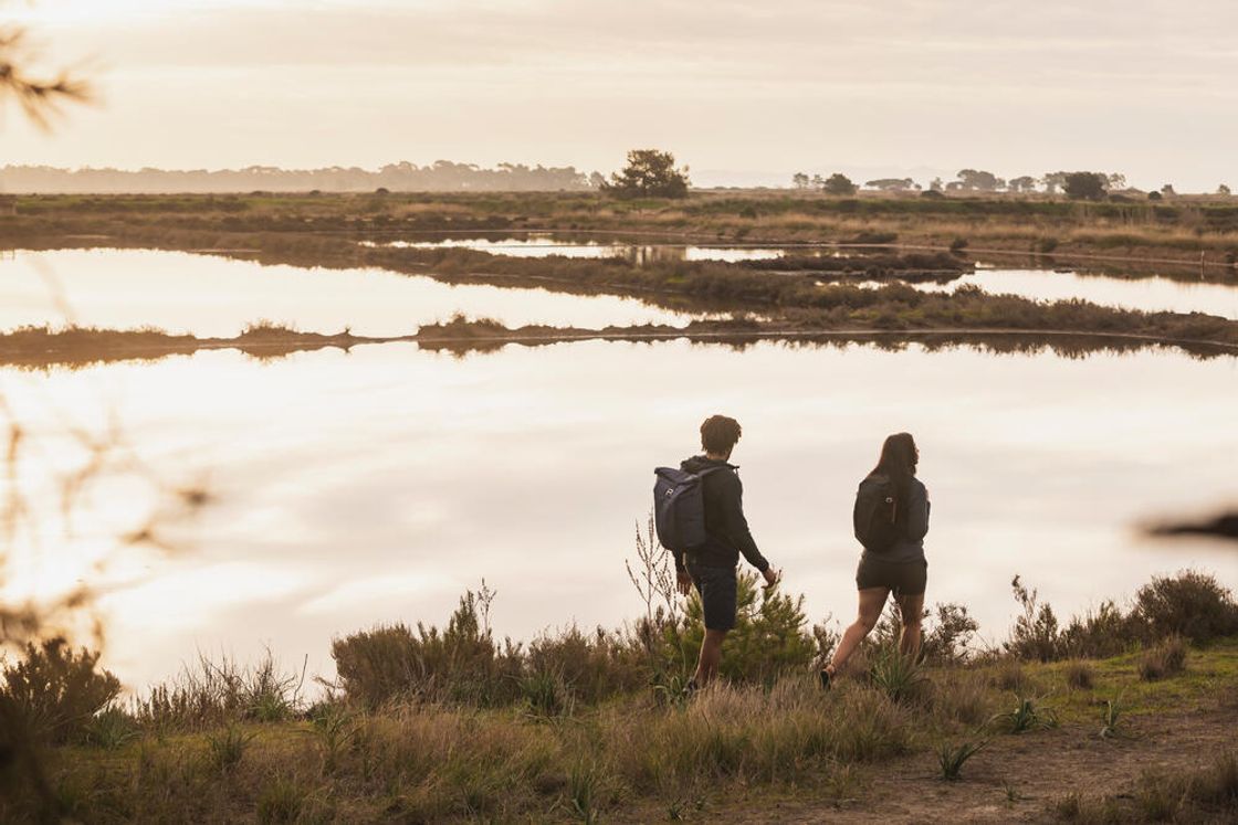 데카트론 등산 백팩 20L 아르페나즈 NH100 스모크 블랙(DECATHLON Hiking Backpack 20L Arpenaz NH100 Smoked Black) - 9